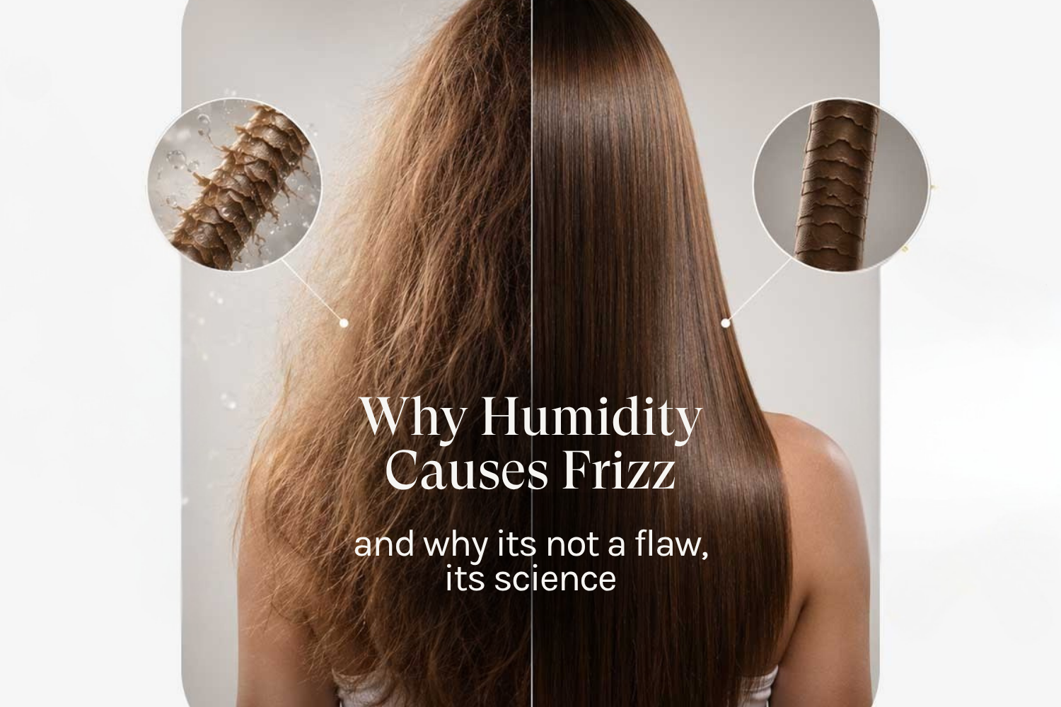 Frizzy hair versus smooth hair showing how humidity lifts the cuticle
