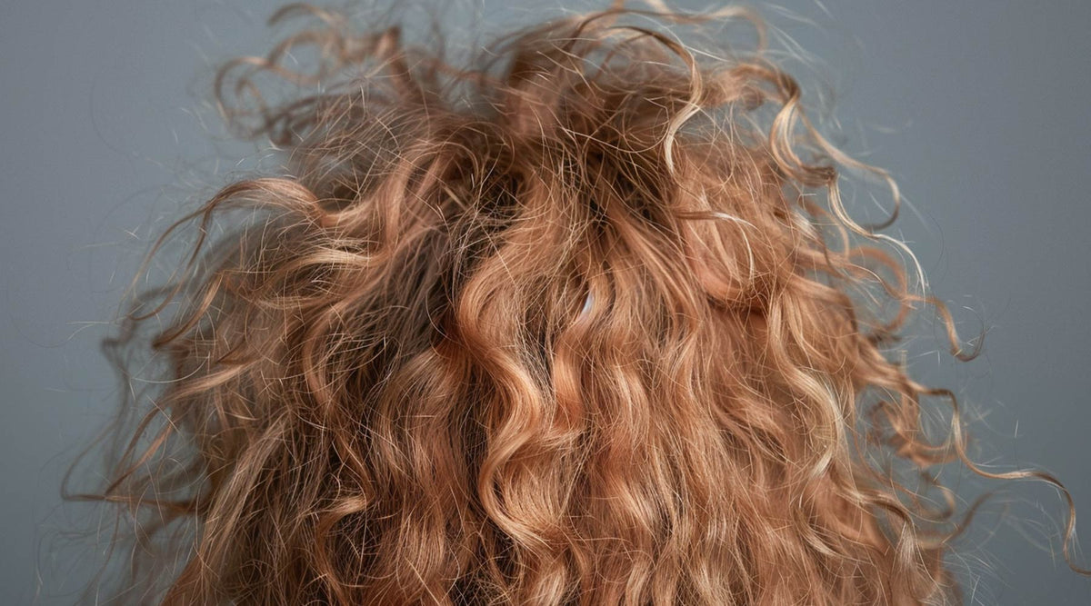 Back view of frizzy, curly light brown hair