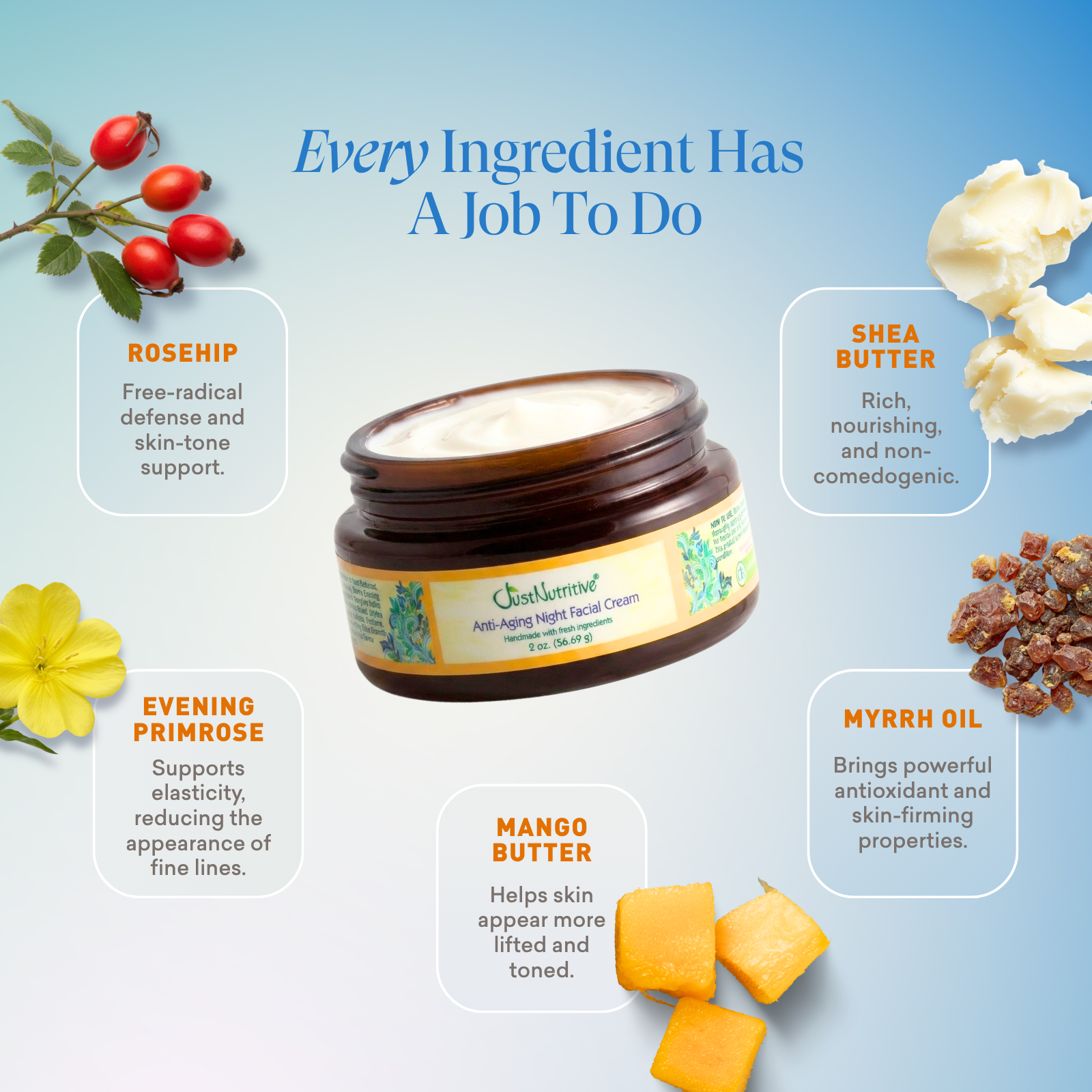 Anti-Aging Night Facial Cream