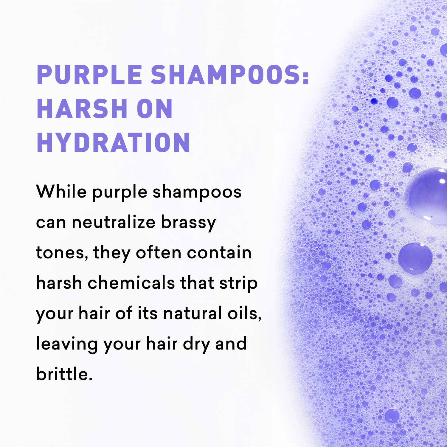 Text about purple shampoos being harsh on hydration with a close-up of purple shampoo bubbles.