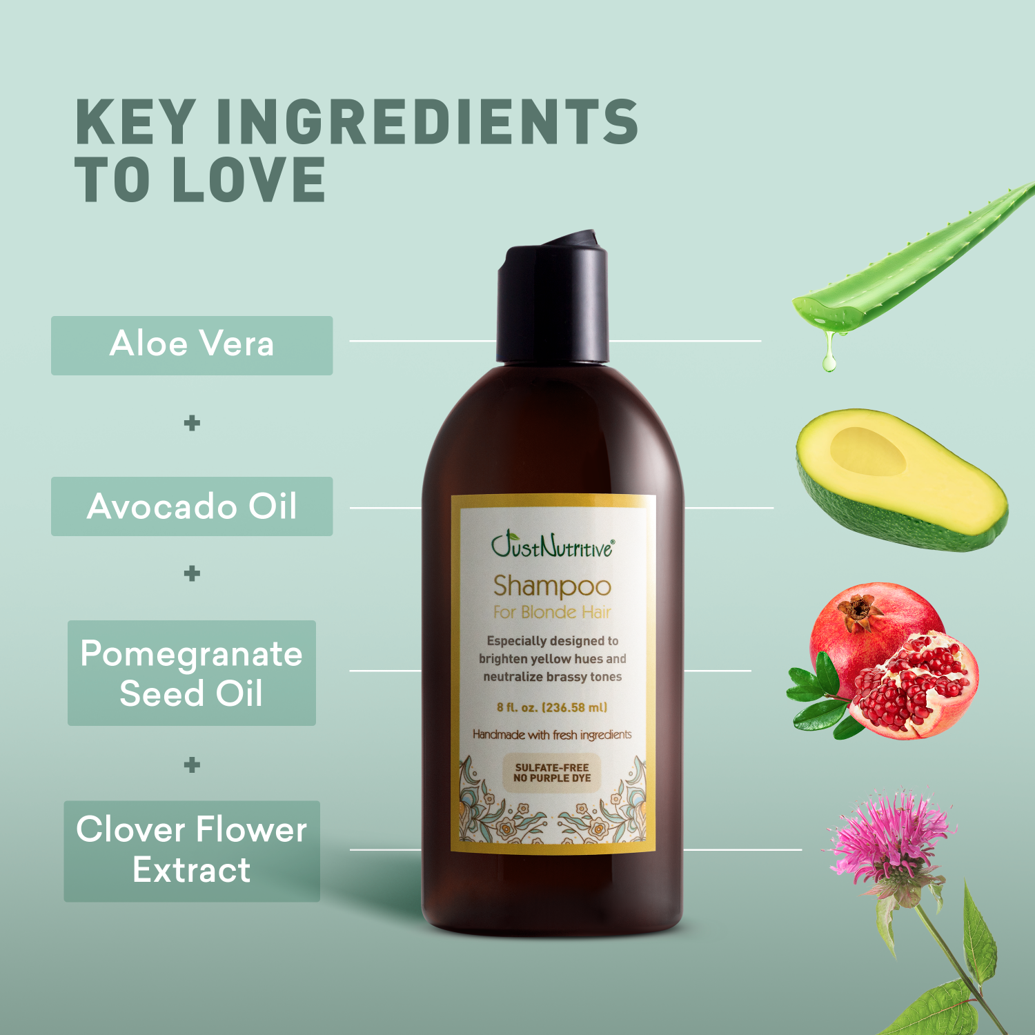 Shampoo bottle with key ingredients listed on a light green background