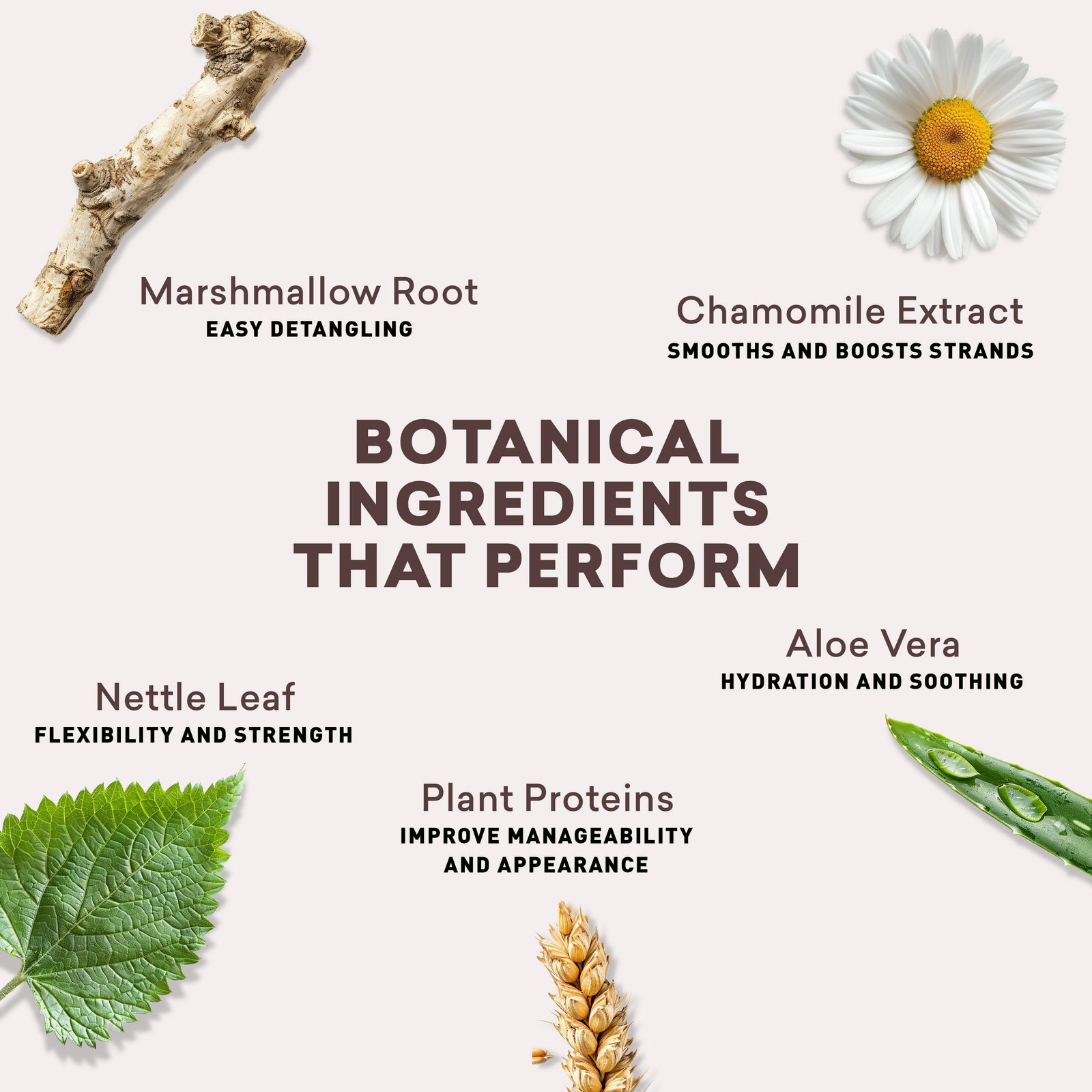 Daily Spray Detangler