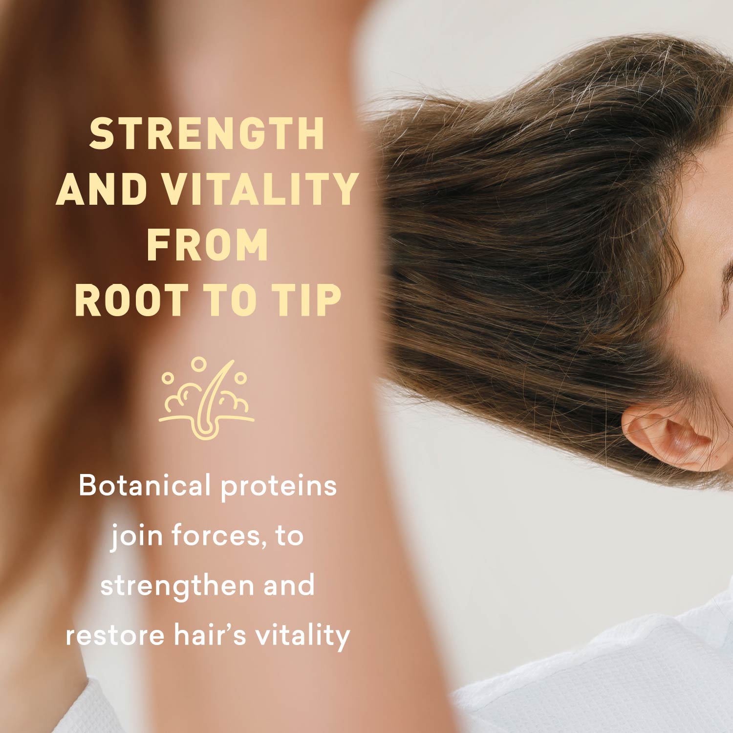 Extreme Dry Hair Shampoo