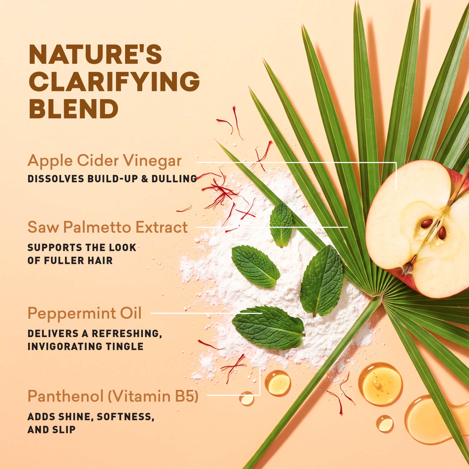 Four key botanical ingredients in the scalp detox rinse formula
