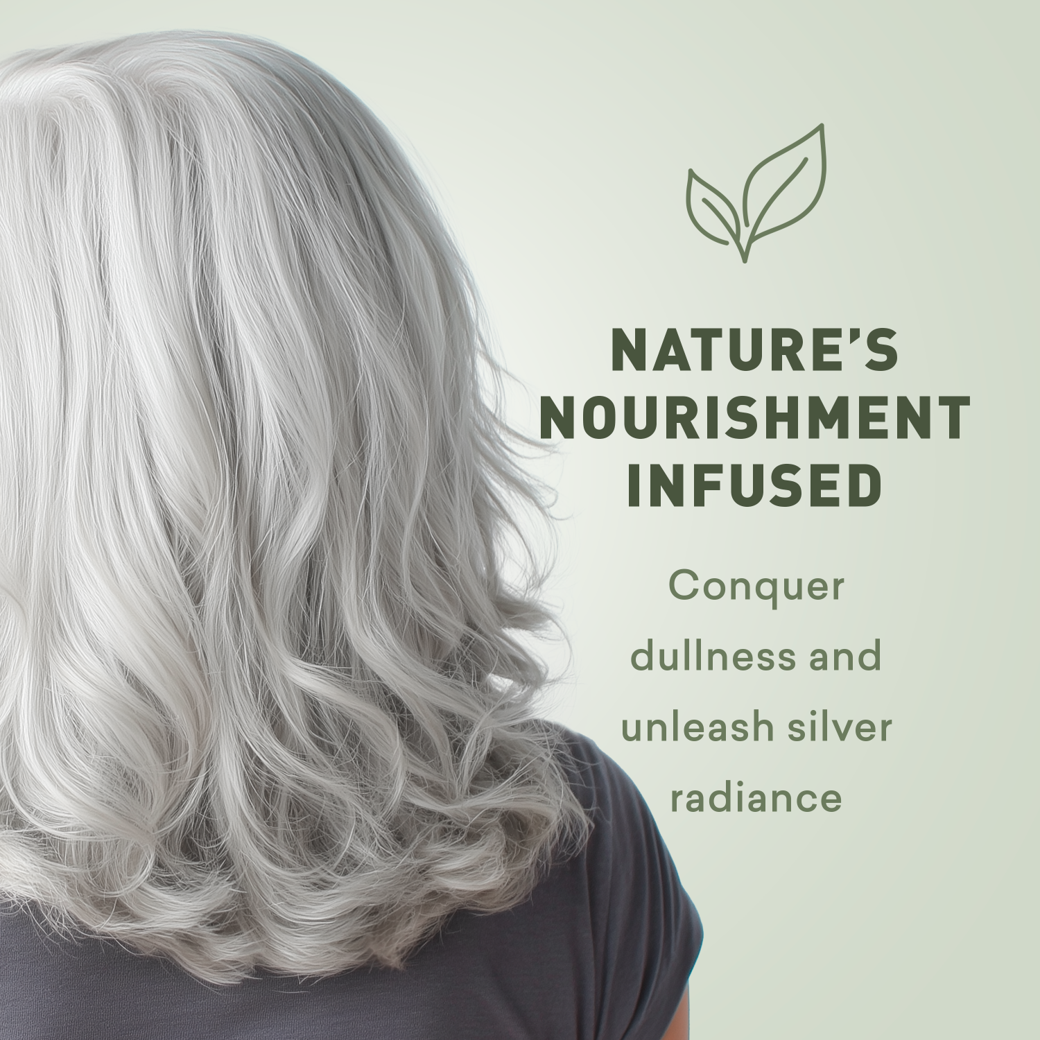 Person with silver hair and text about nature's nourishment infused hair care.