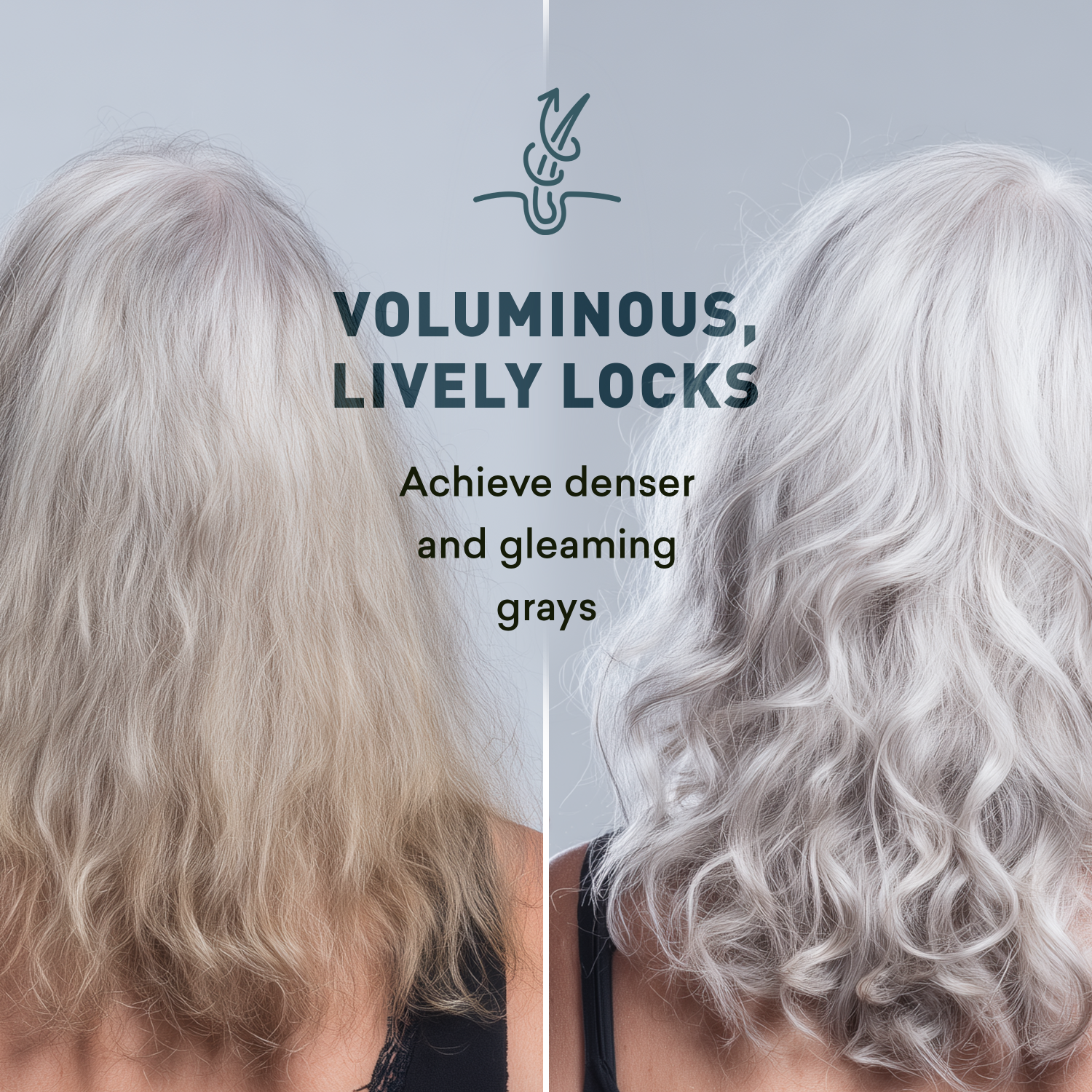 Before and after comparison of voluminous, lively gray hair with text on a light gray background.