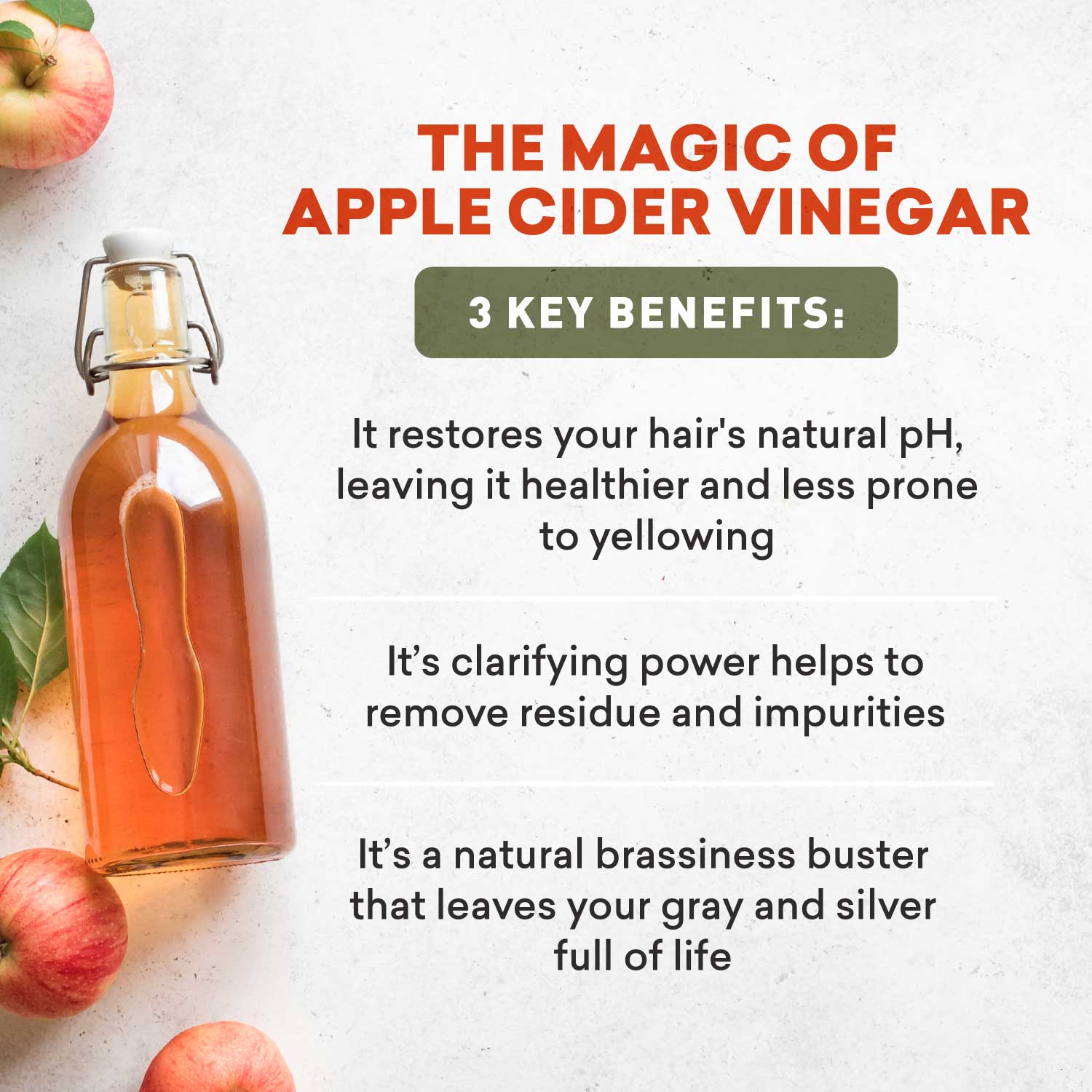 Gray Hair Clarifying Duo