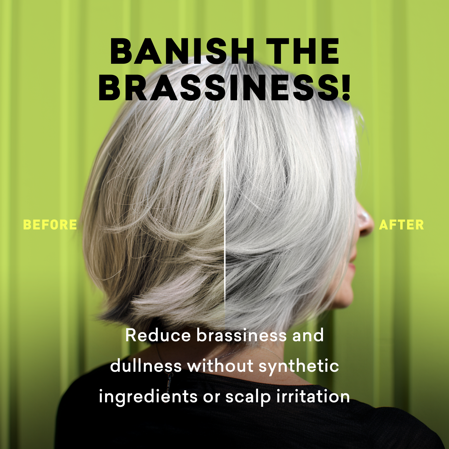 Before and after comparison of hair color with text 'Banish the Brassiness!' on a green background.