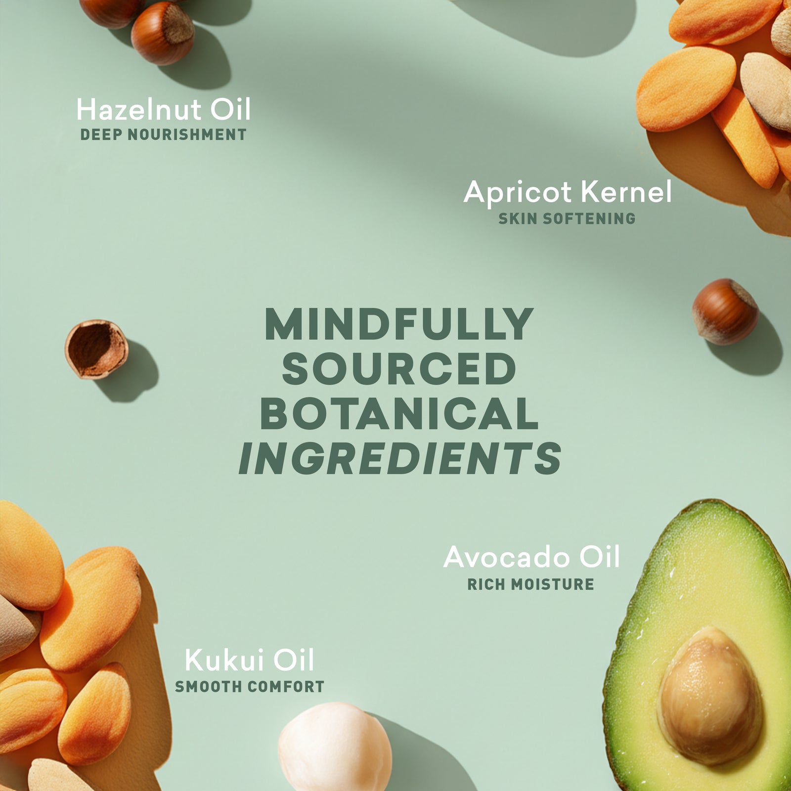 Botanical ingredients with labels on a light green background