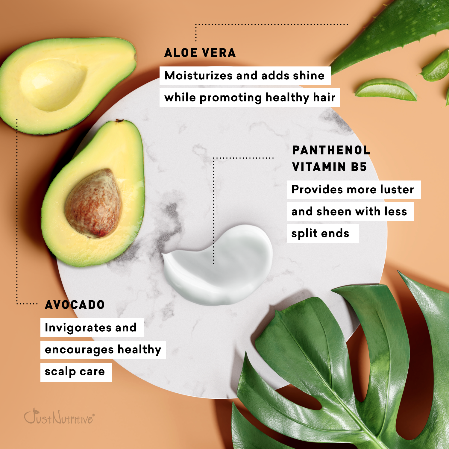 Avocado and aloe vera with text on a brown background