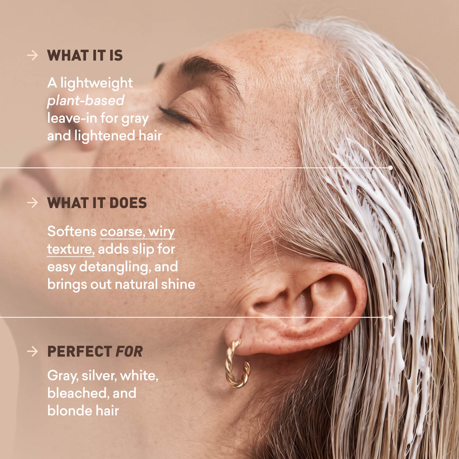 Leave in Conditioner | Gray Hair