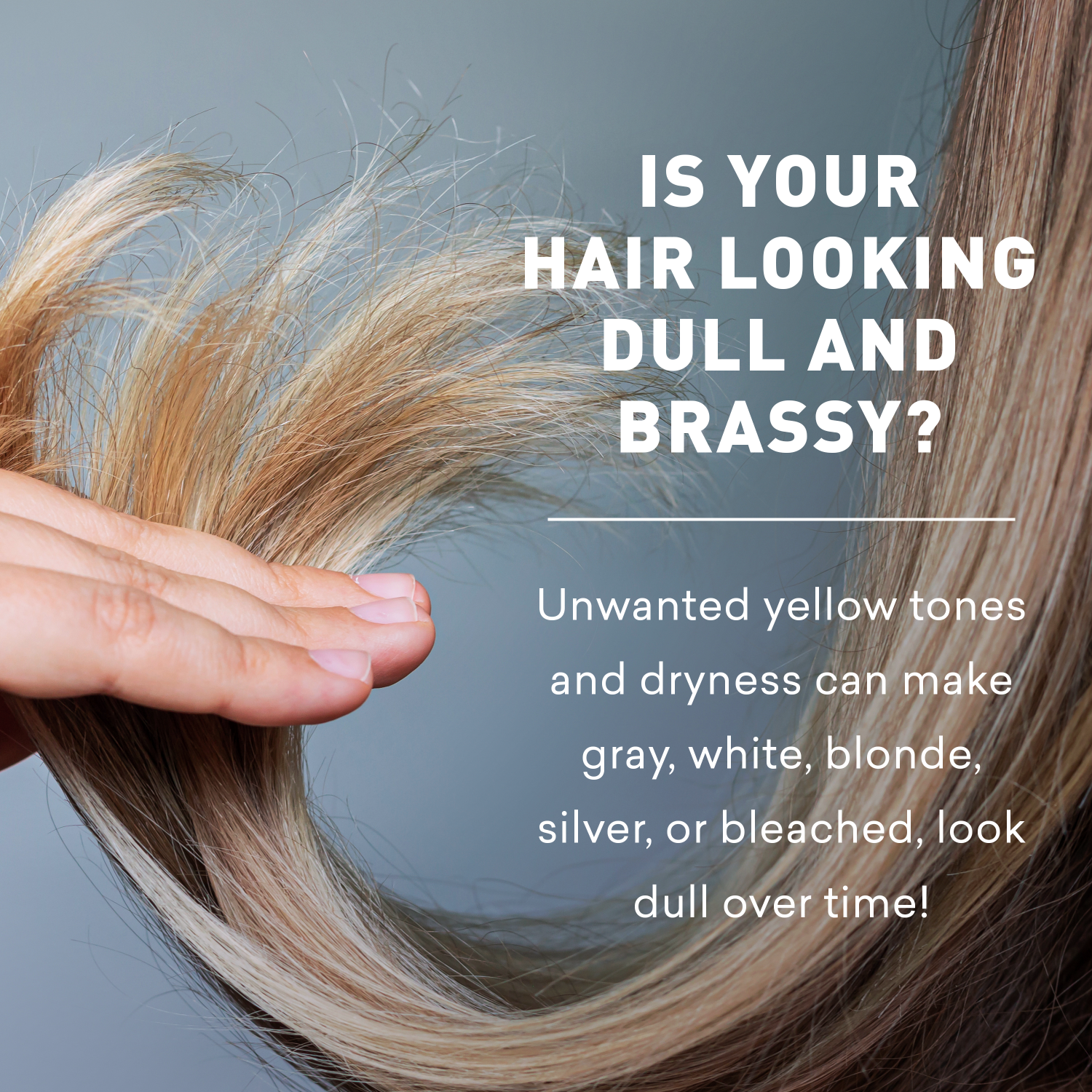 Person holding hair with text about hair color and appearance