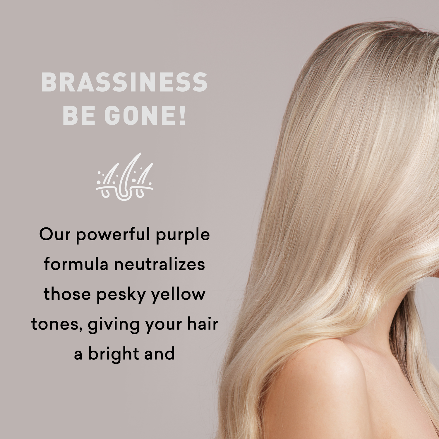 Promotional image for hair care product with blonde hair and text about brassiness neutralization.