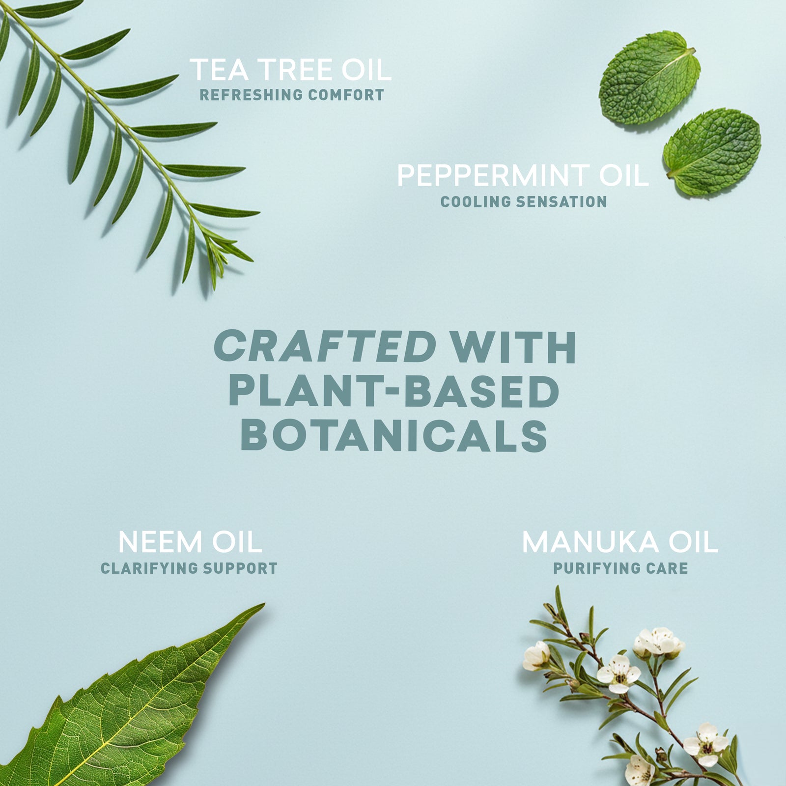Promotional graphic for plant-based botanical oils with text and images of leaves and flowers on a light blue background.