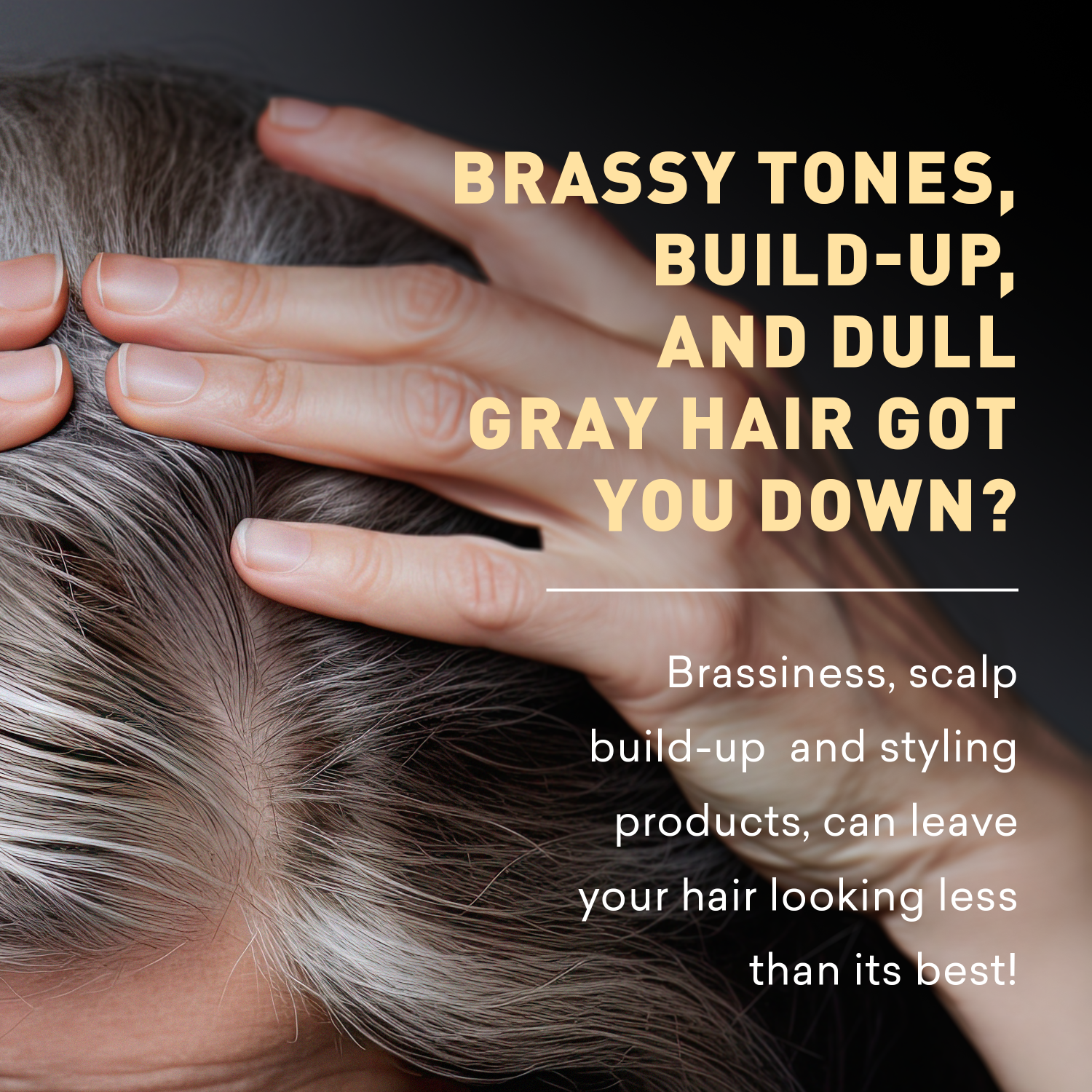 Person with gray hair touching their head, text about brassiness and scalp build-up.