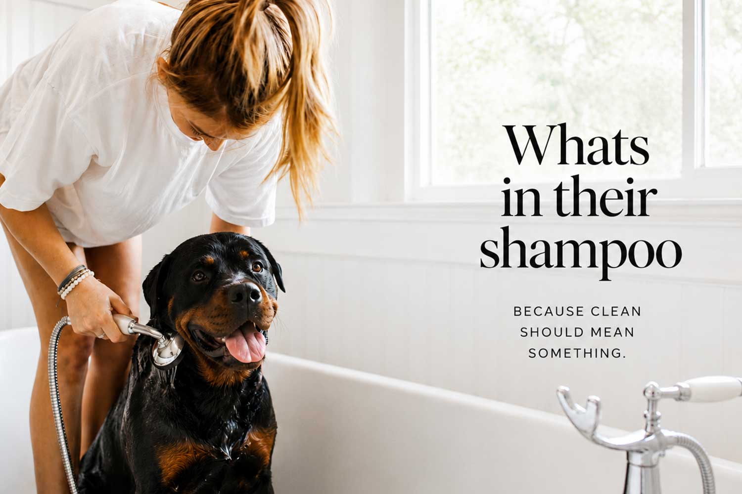 rottweiler-with-woman-bath