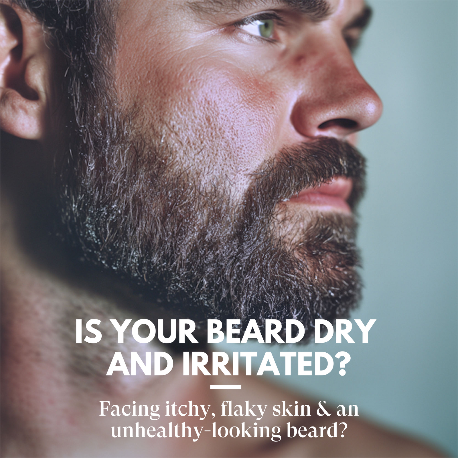 Close-up of a man's face with a beard, featuring text about beard care.