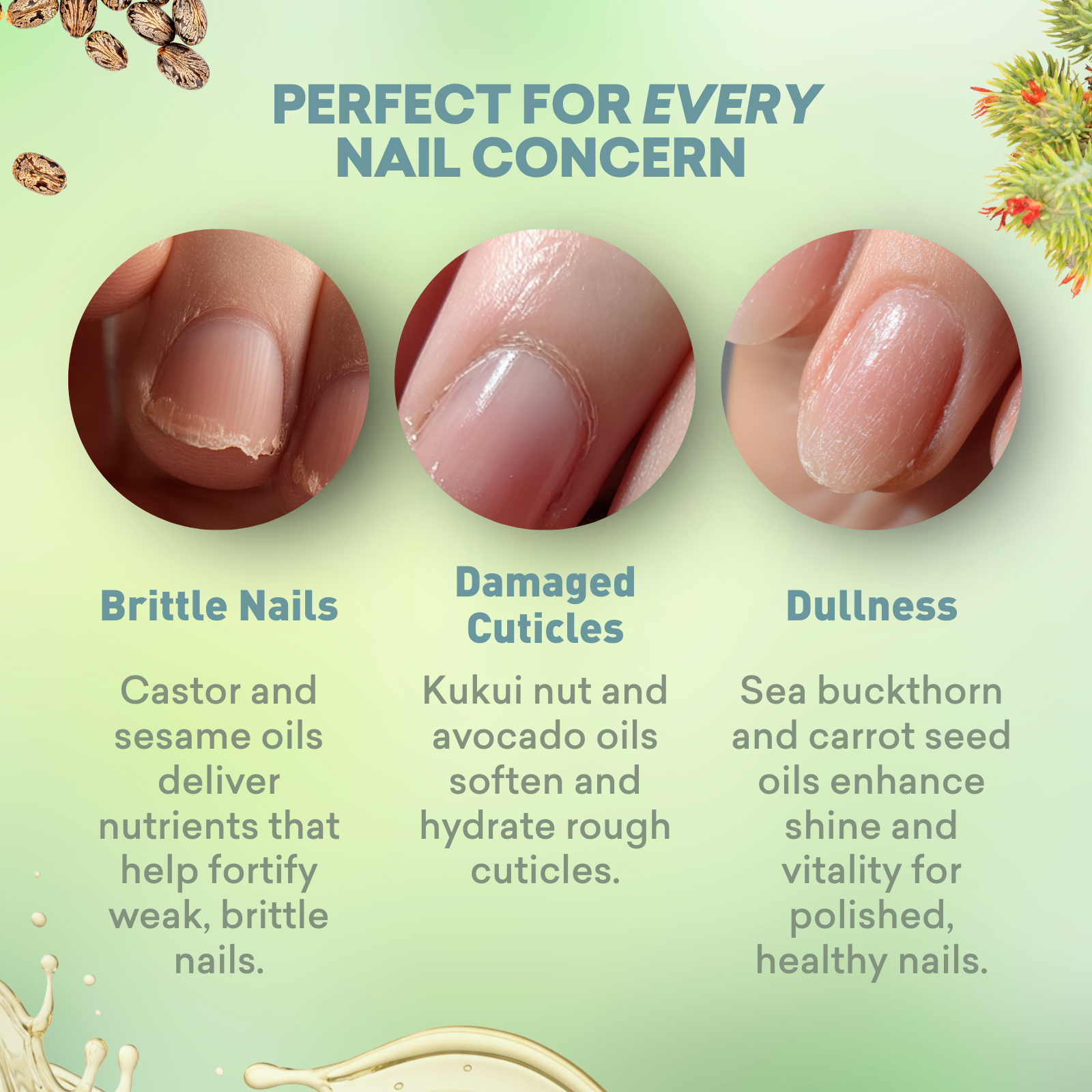 Cuticle & Nail Serum - Just Nutritive Store