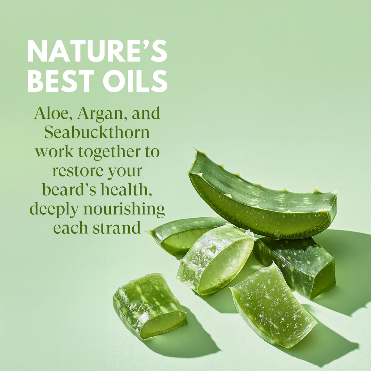 Aloe vera slices on a light green background with text about nature's best oils.