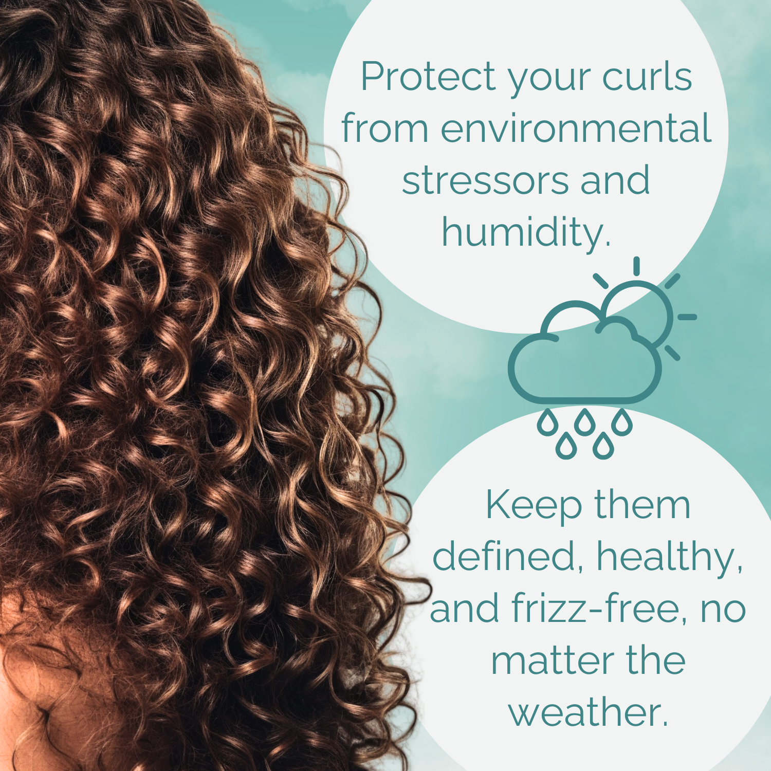 Close-up of curly hair with text about protecting curls from environmental stressors and humidity.