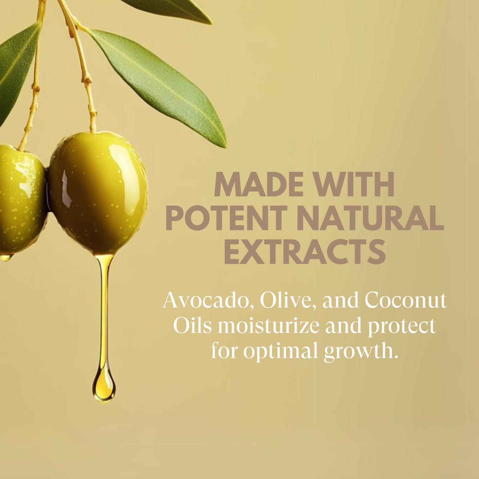 Olive oil droplet with olive branch on a beige background, featuring text about natural extracts.