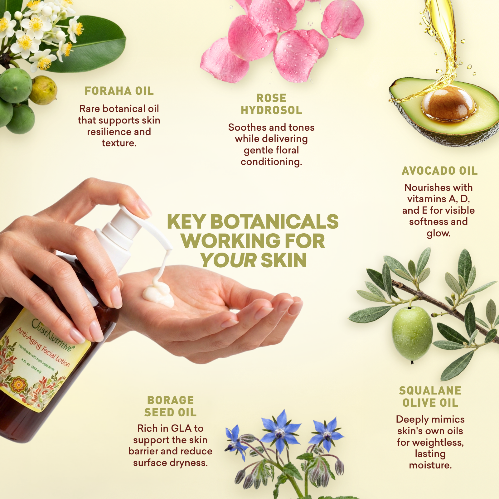 Cosmetic product with key botanical ingredients and their benefits on a light background