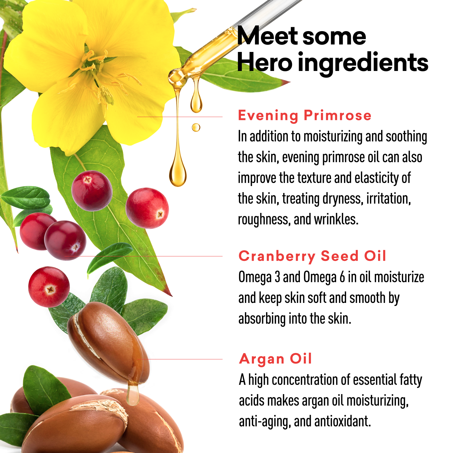 Herbal ingredients with droplets of oil and text on a white background