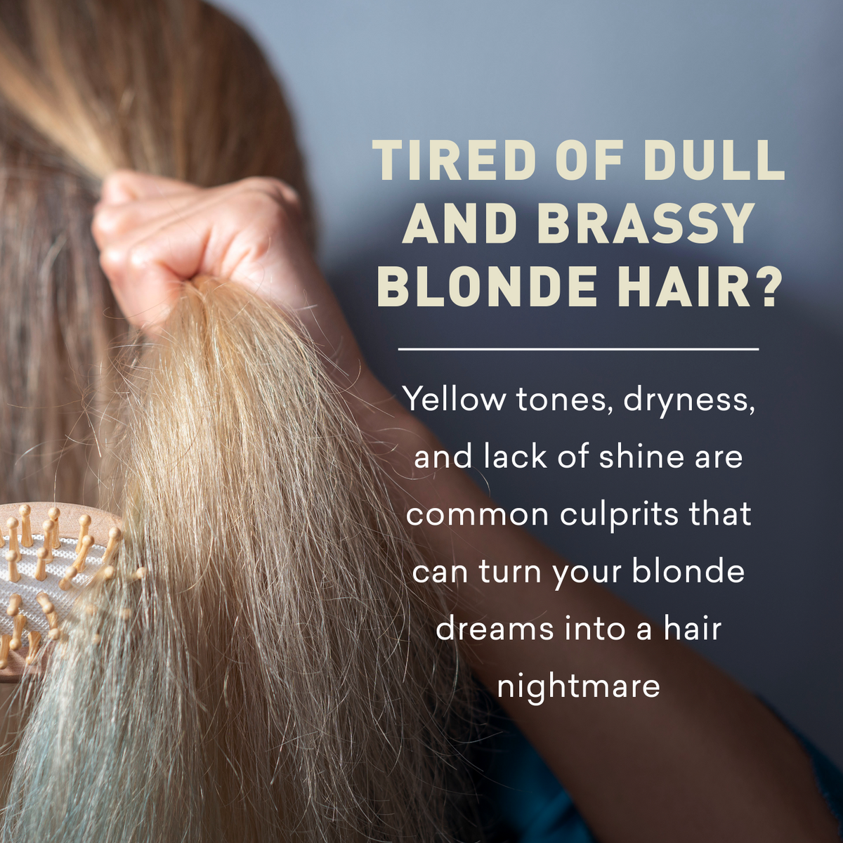 Person brushing blonde hair with text about blonde hair issues and solutions.