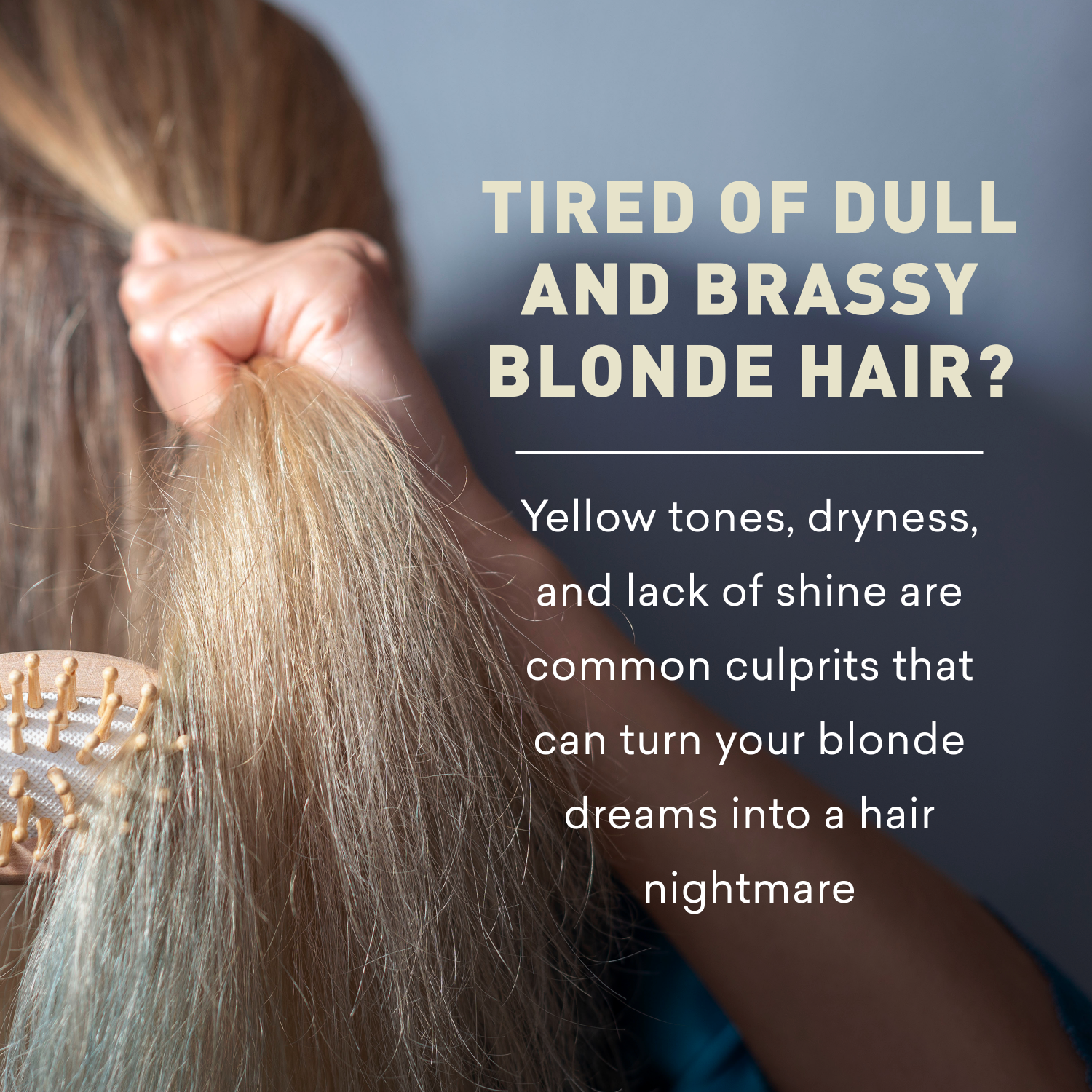Person brushing blonde hair with text about blonde hair issues and solutions.