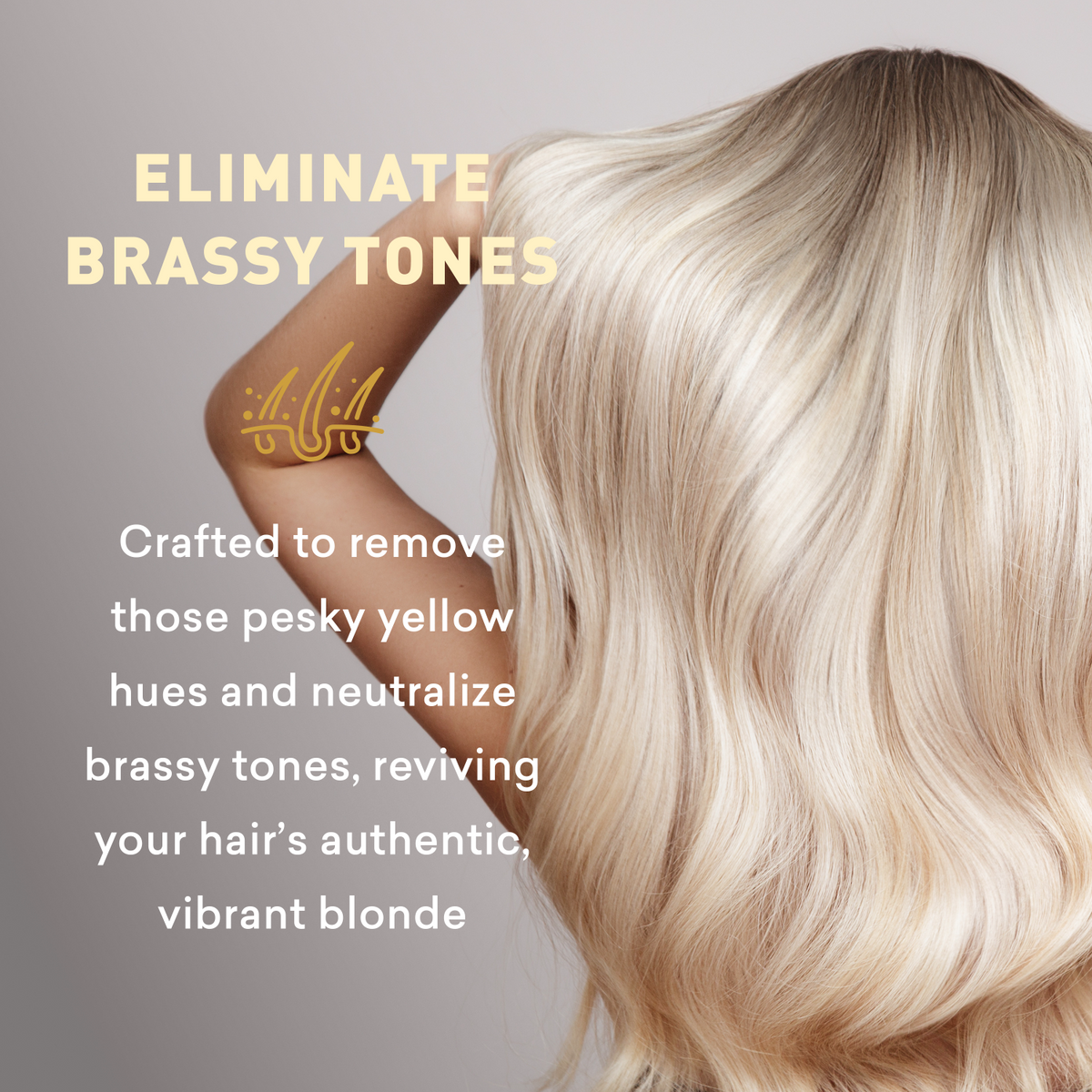 Blonde hair with text about eliminating brassy tones on a gray background