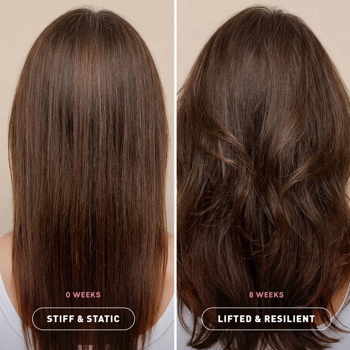 Volumizing Kit