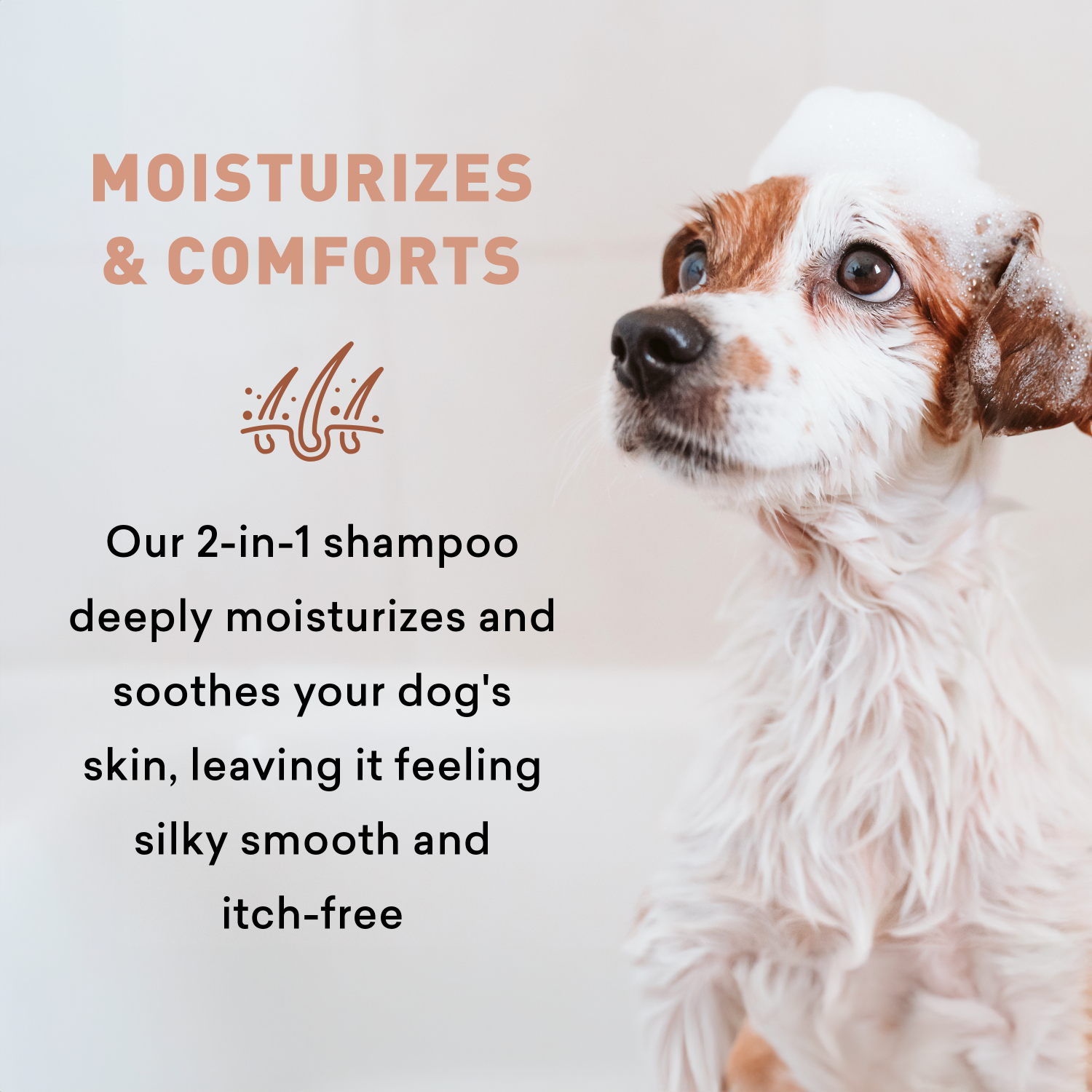 Dog with shampoo on a light background with text about a 2-in-1 shampoo.