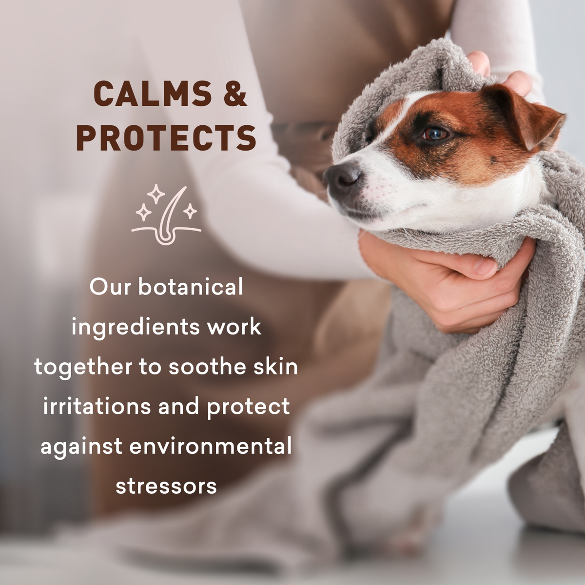 Dog wrapped in a towel with text about botanical ingredients calming and protecting skin.