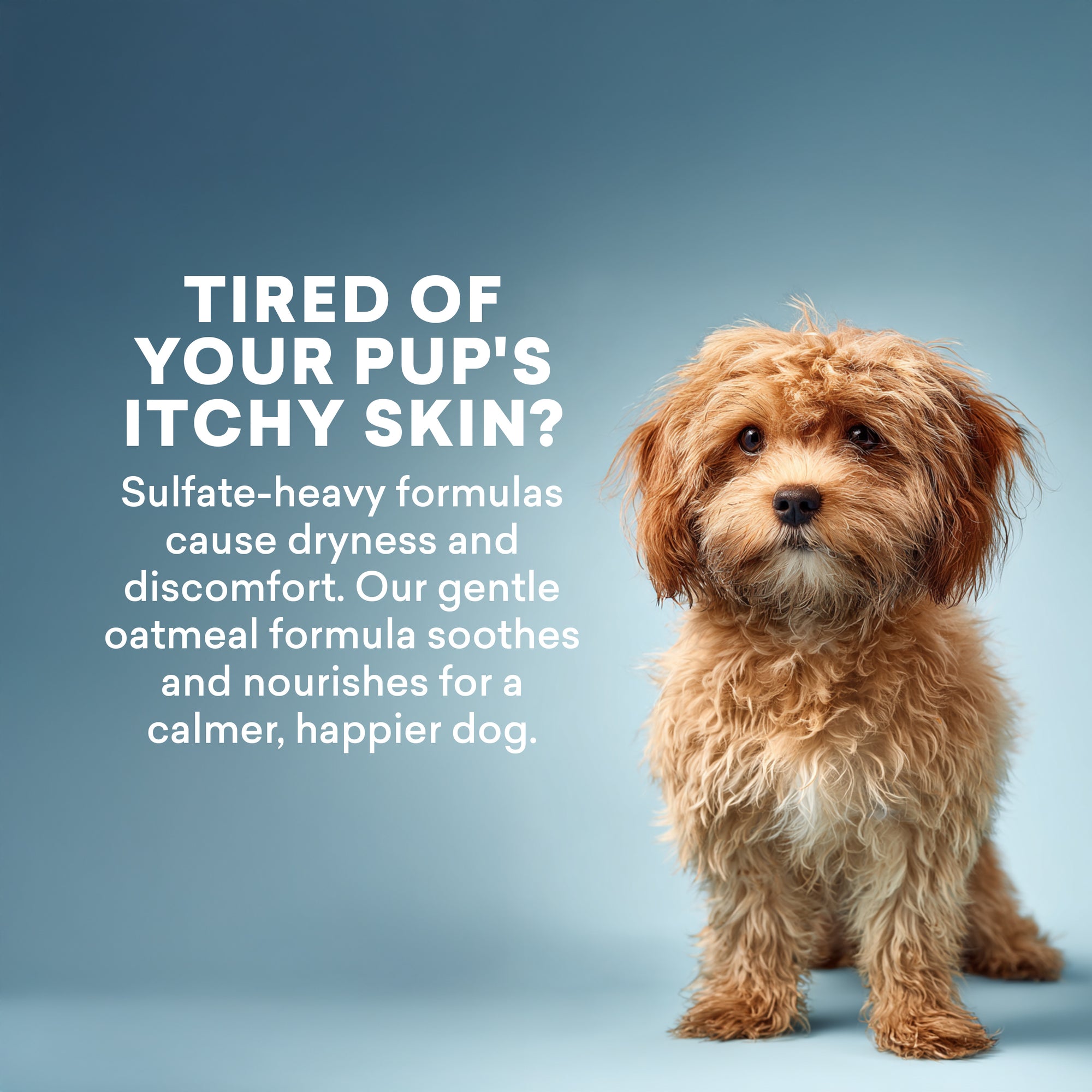Dog Shampoo Skin Calming Oatmeal - Just Nutritive Store
