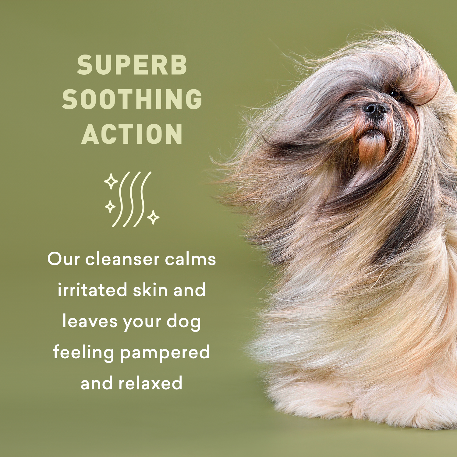 Dog with text about cleanser's soothing action on a green background