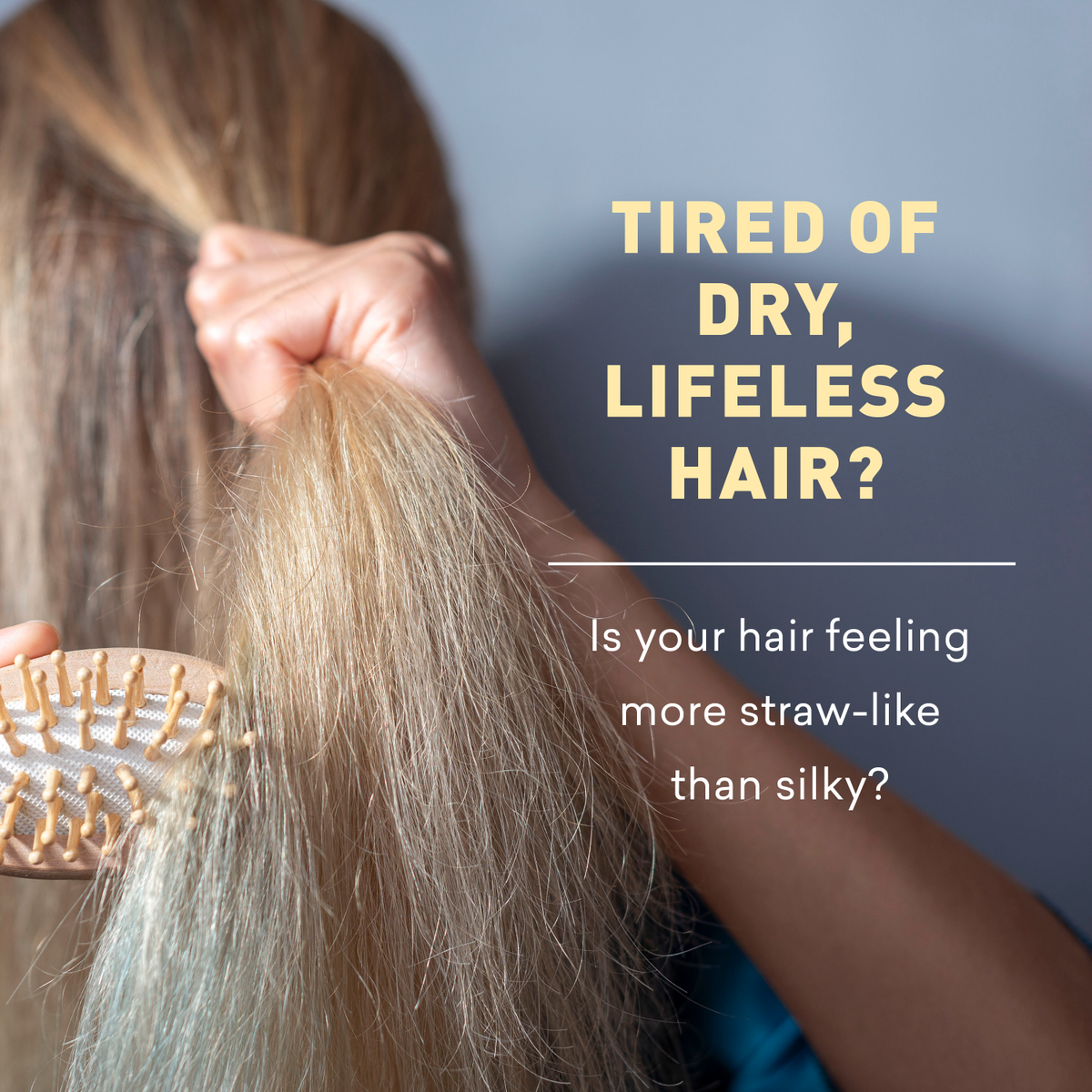 Person brushing dry, lifeless hair with text about hair care issues.