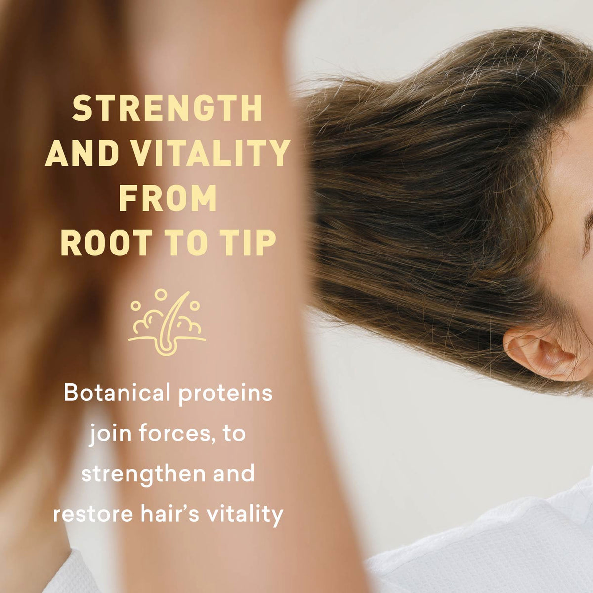 Extreme Dry Hair Shampoo