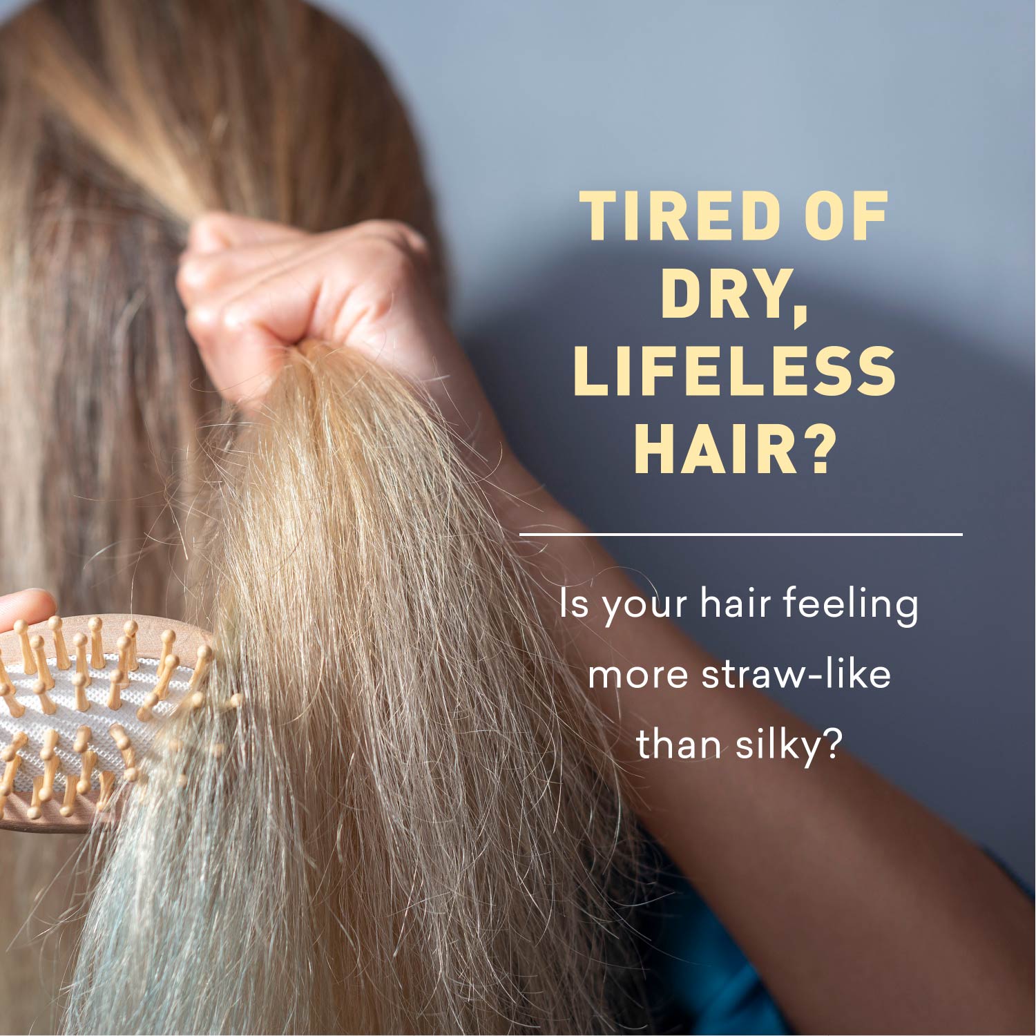 Extreme Dry Hair Shampoo