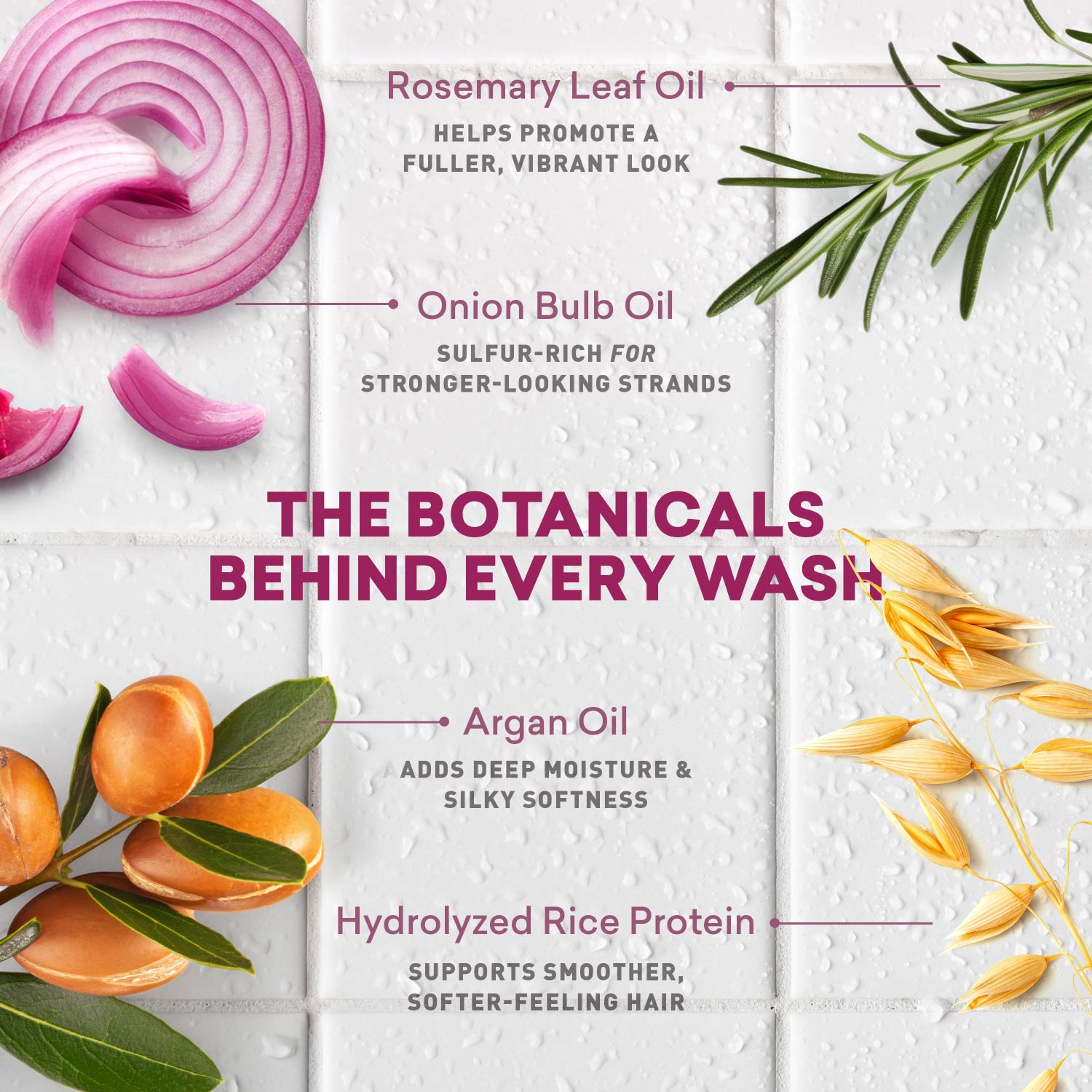 Onion & Rosemary Shampoo