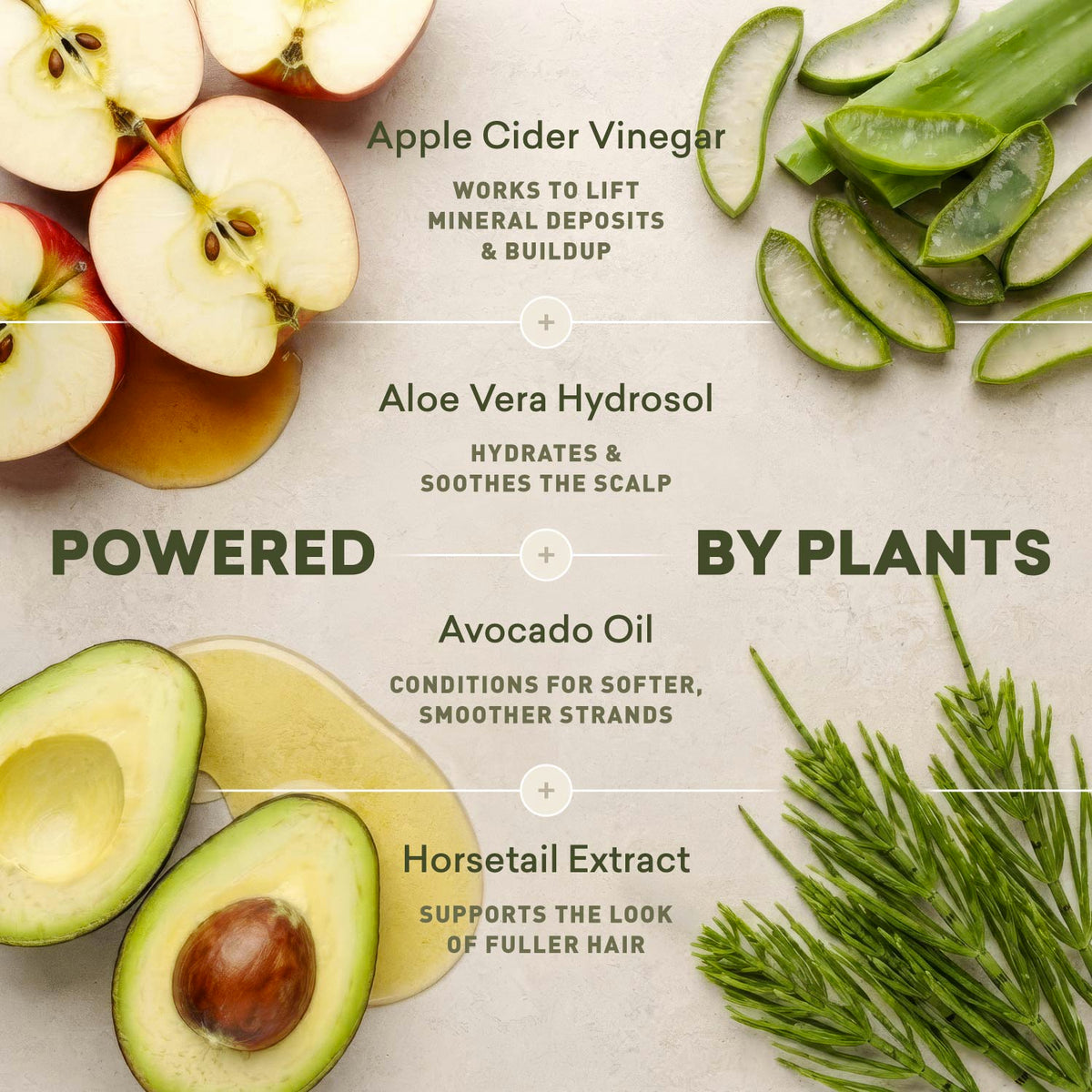 Hard Water Rinse Hair Detox