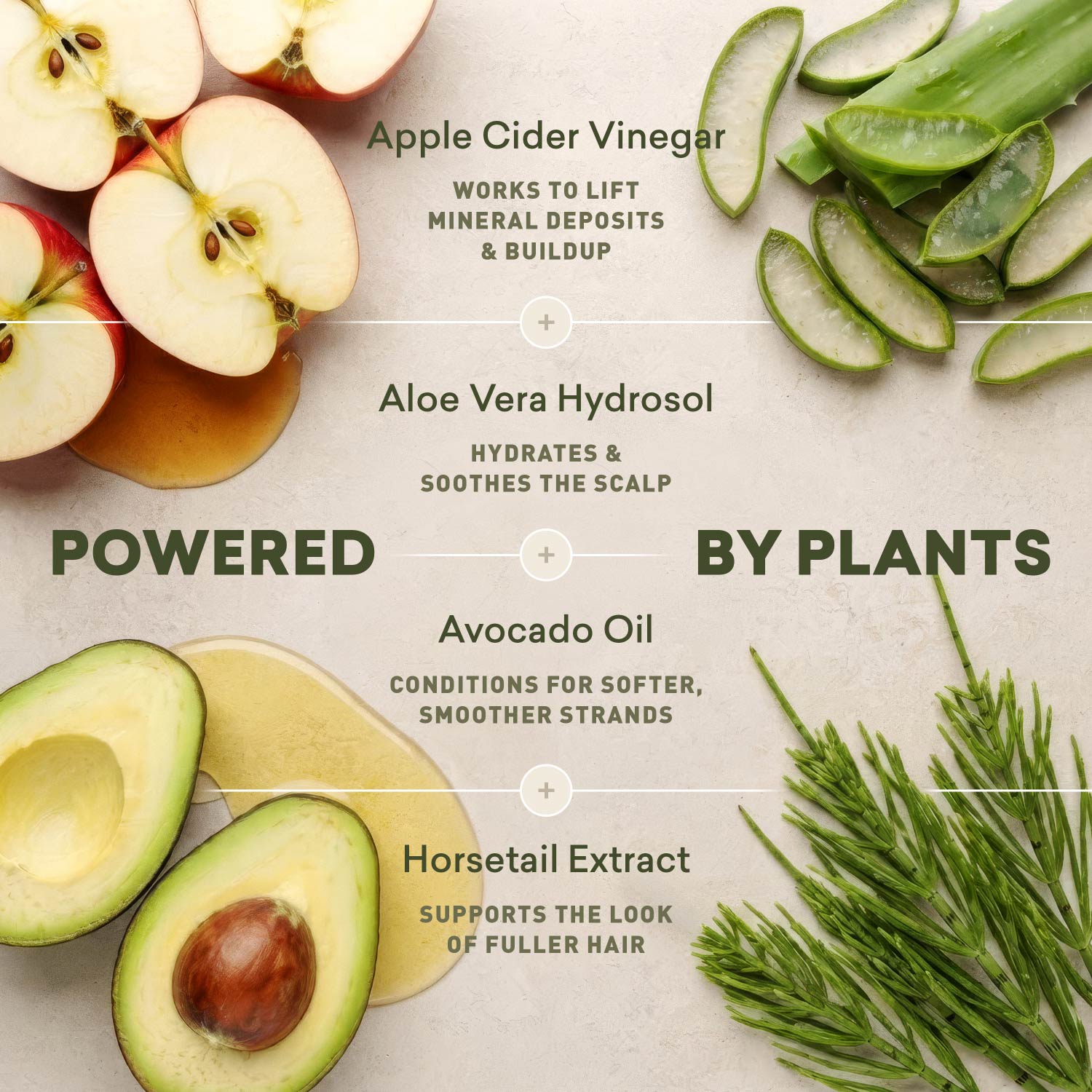 Hard Water Rinse Hair Detox