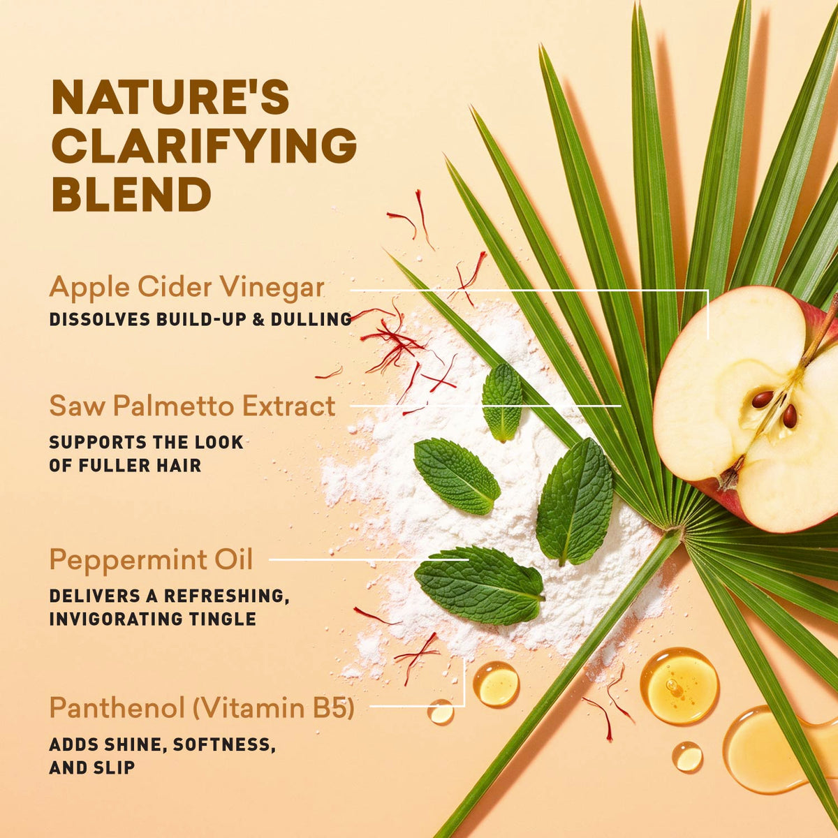 Four key botanical ingredients in the scalp detox rinse formula