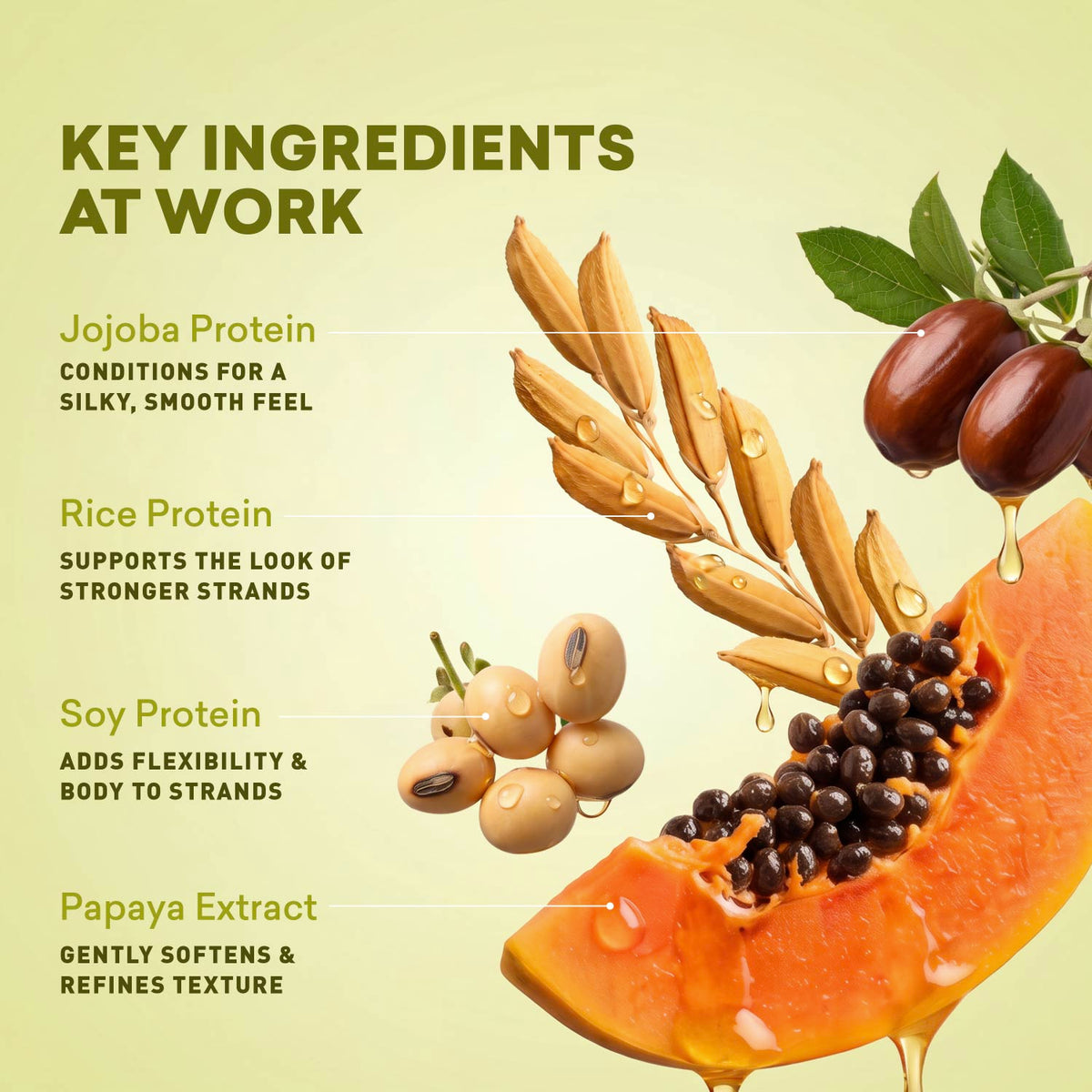 Protein & Vitamin Hair Treatment | Gray Hair