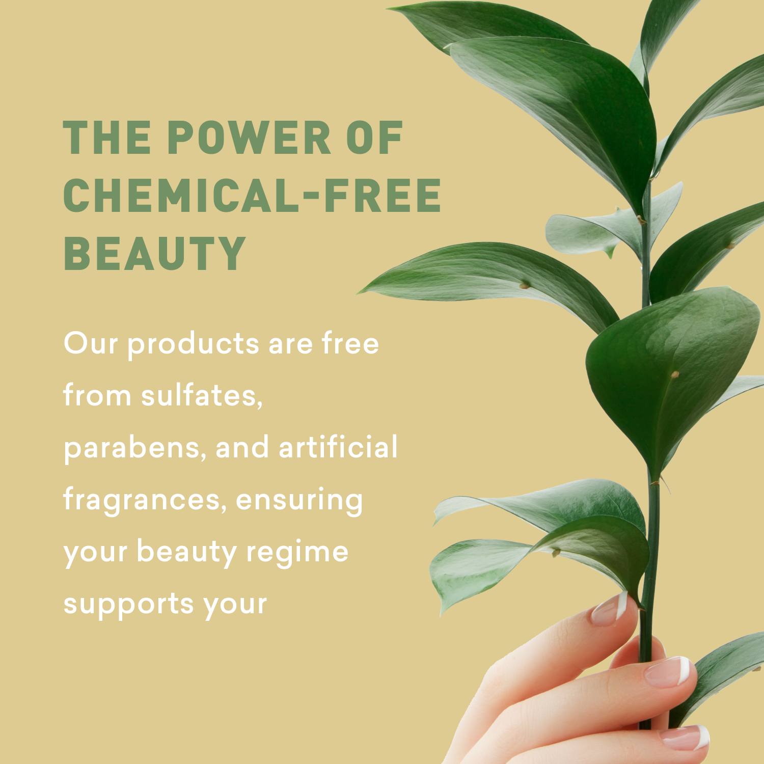 Hand holding a leaf with text about chemical-free beauty products on a beige background