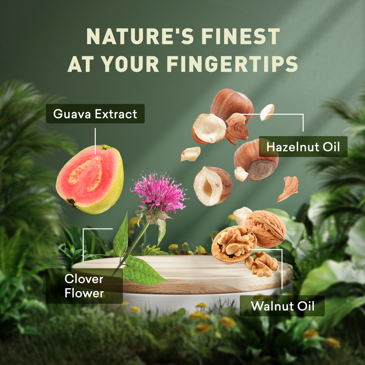 Nature-themed product display with guava extract, hazelnut oil, clover flower, and walnut oil labeled.