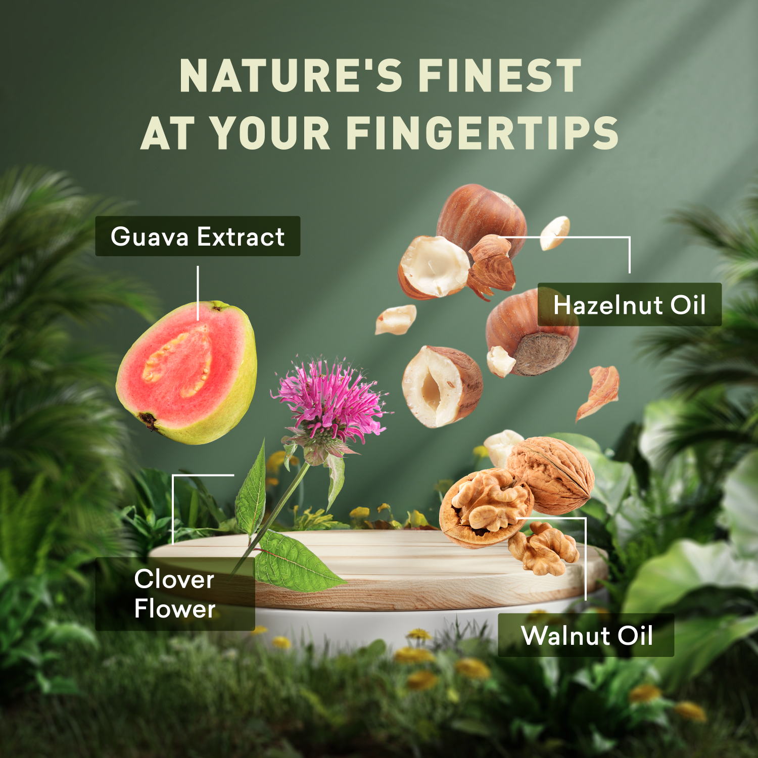 Nature-themed product display with guava extract, hazelnut oil, clover flower, and walnut oil labeled.