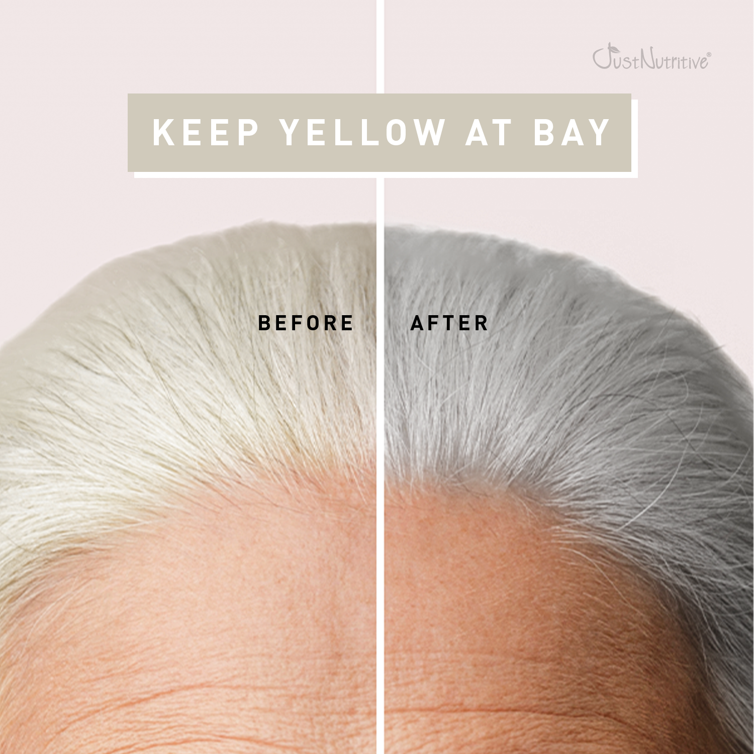Before and after comparison of hair color treatment showing a transition from yellow to gray.