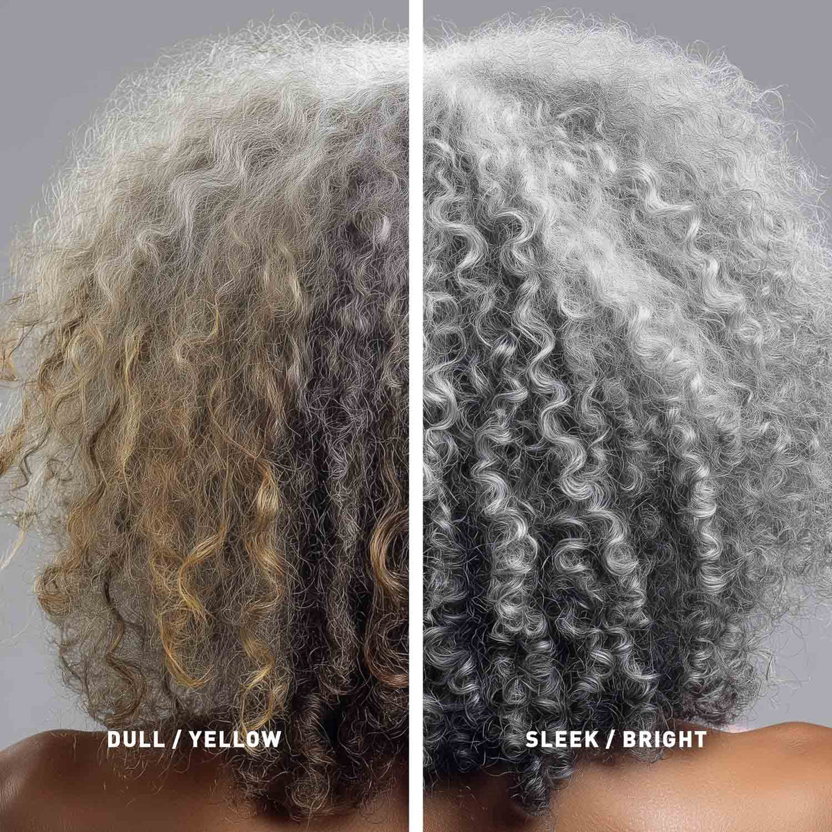 Gray Hair Shampoo & Leave-In Conditioner Duo