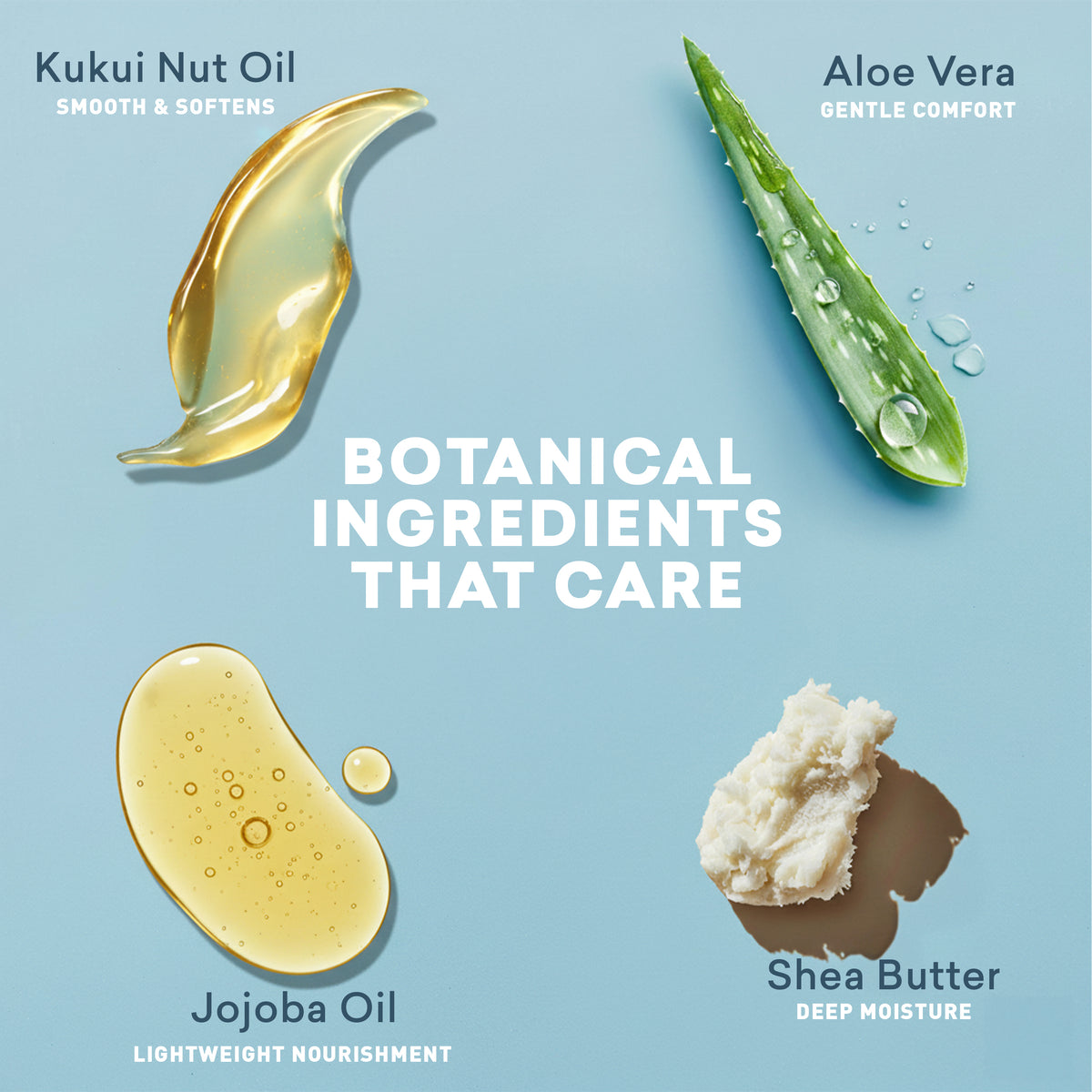 Botanical ingredients including Kukui Nut Oil, Aloe Vera, Jojoba Oil, and Shea Butter on a light blue background.