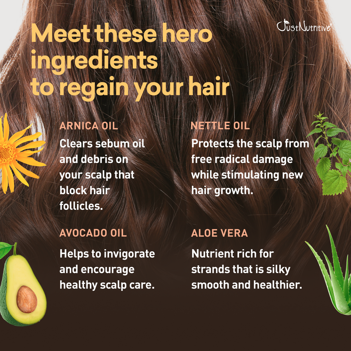 Hair care product advertisement with ingredients like Arnica oil, Nettle oil, Avocado oil, and Aloe Vera.